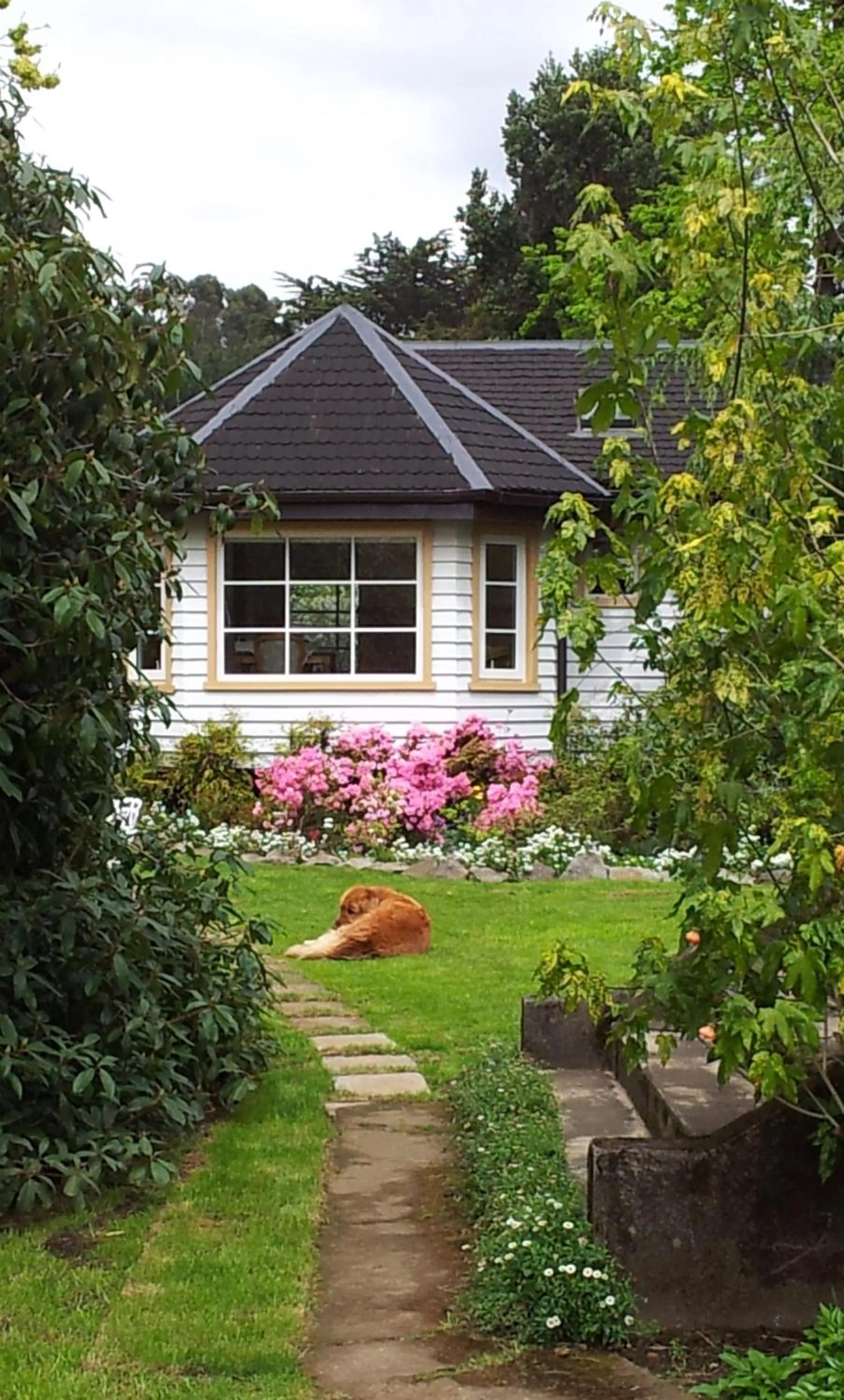 Hotel Serenade de Franz Schubert