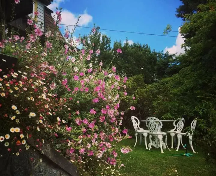 Hotel Serenade de Franz Schubert