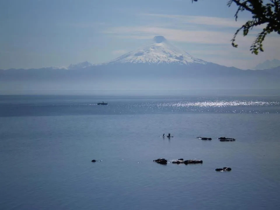 Hotel Serenade de Franz Schubert