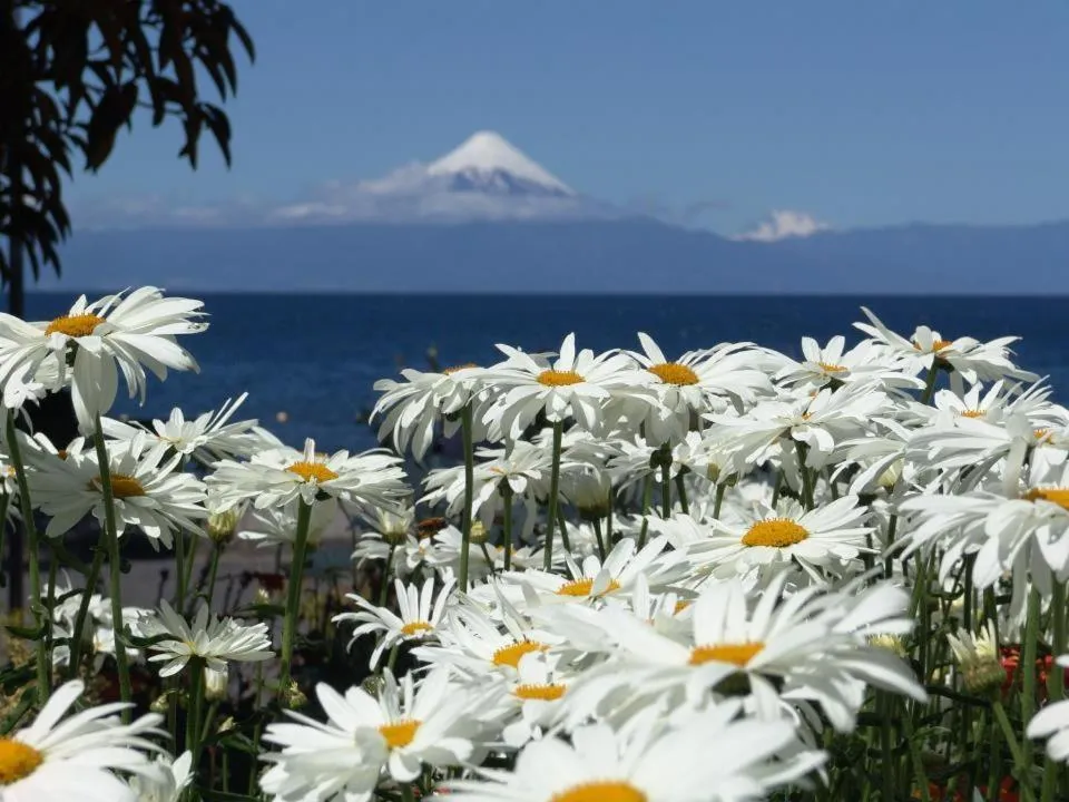 Hotel Serenade de Franz Schubert
