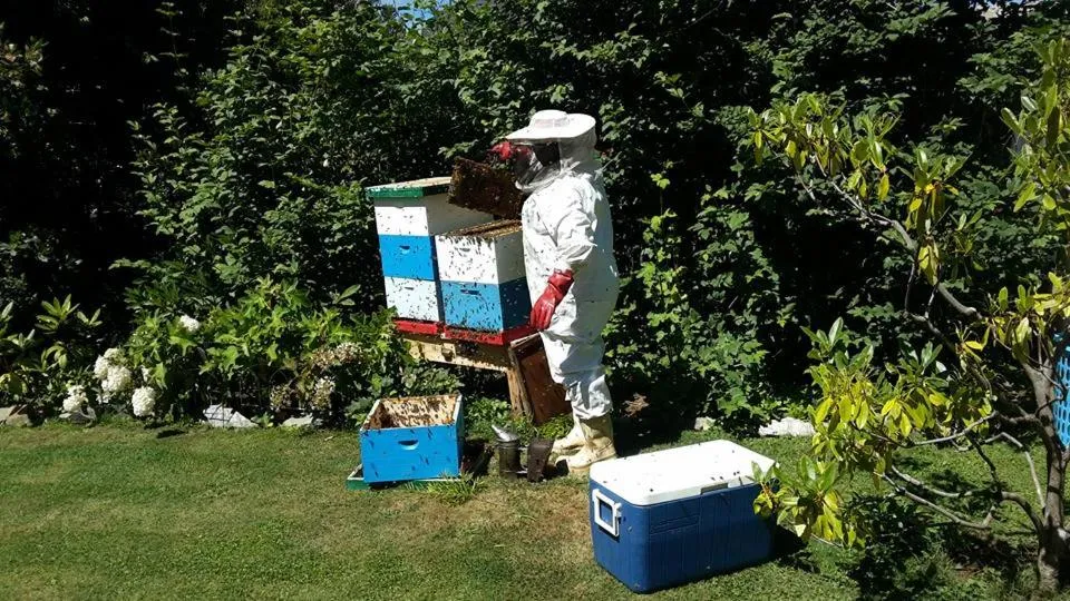 Hotel Serenade de Franz Schubert