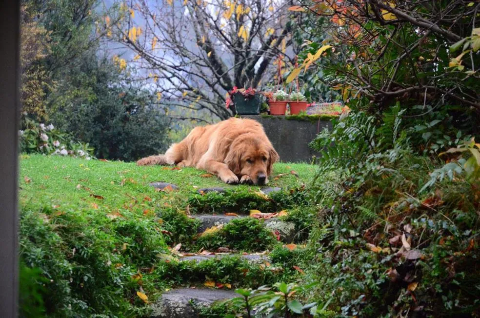 Hotel Serenade de Franz Schubert