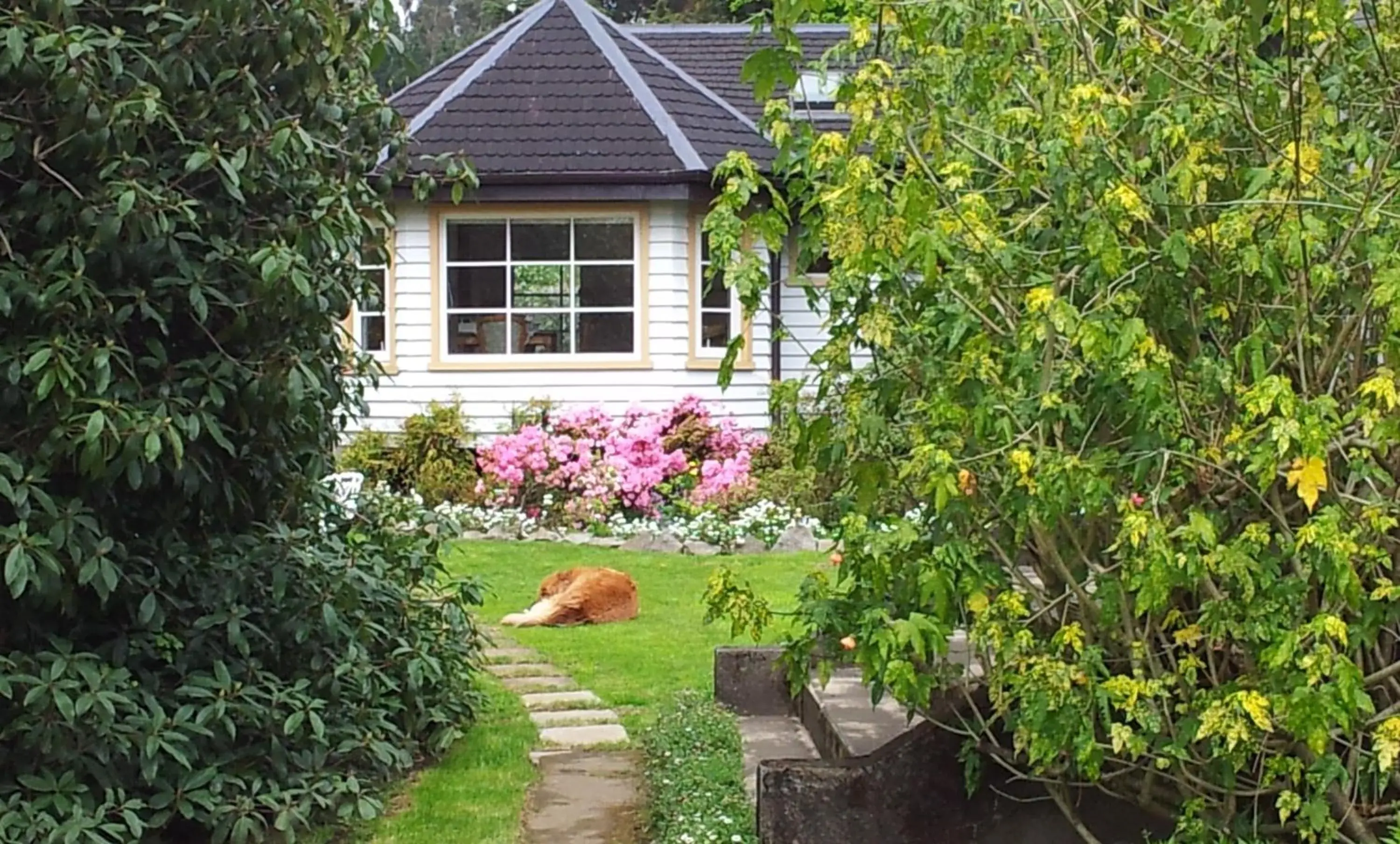 Cottage (4 Adults) in Hotel Serenade de Franz Schubert Cottage (4 Adults) in Hotel Serenade de Franz Schubert