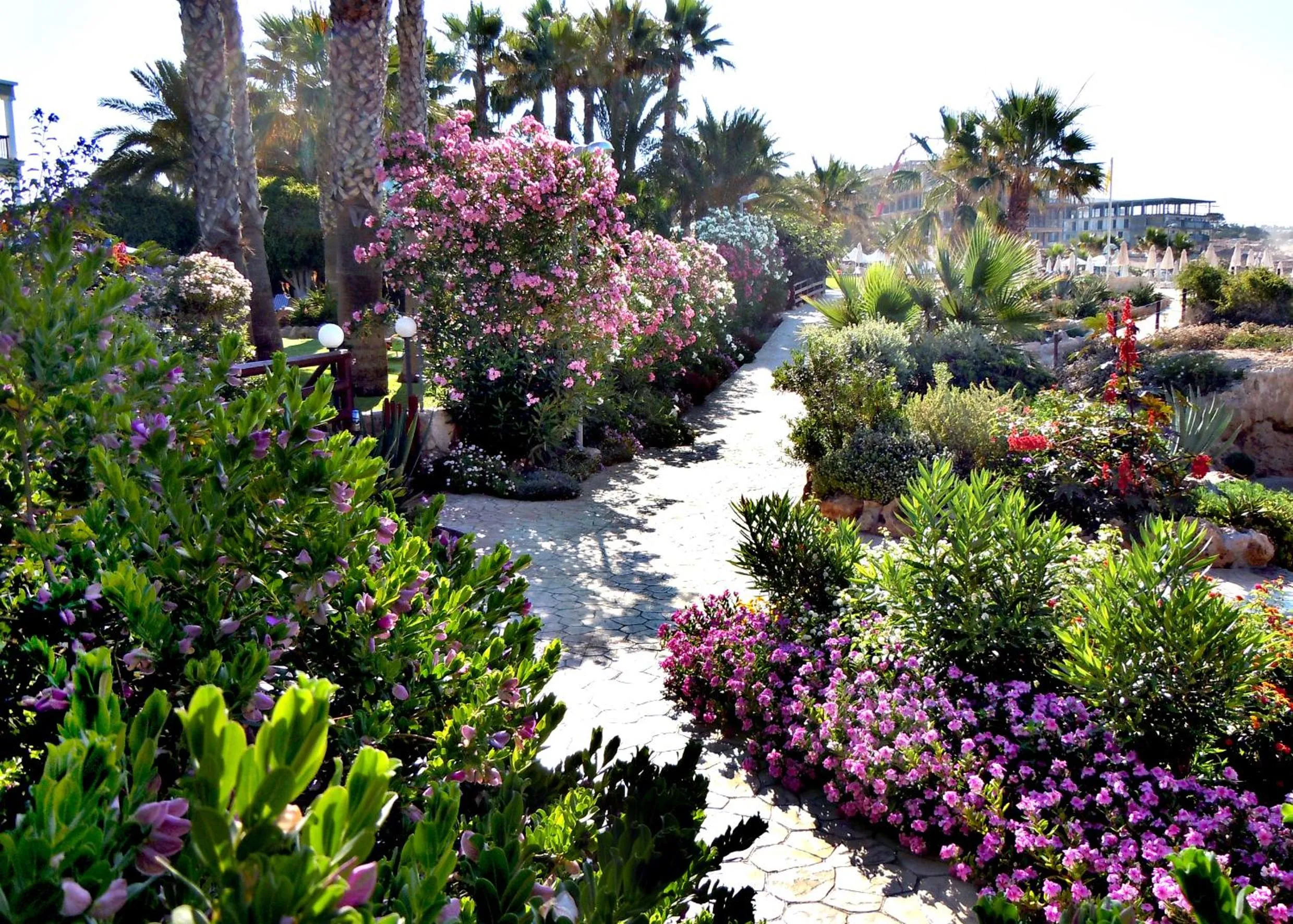 Garden in Rododafni Beach Apartments