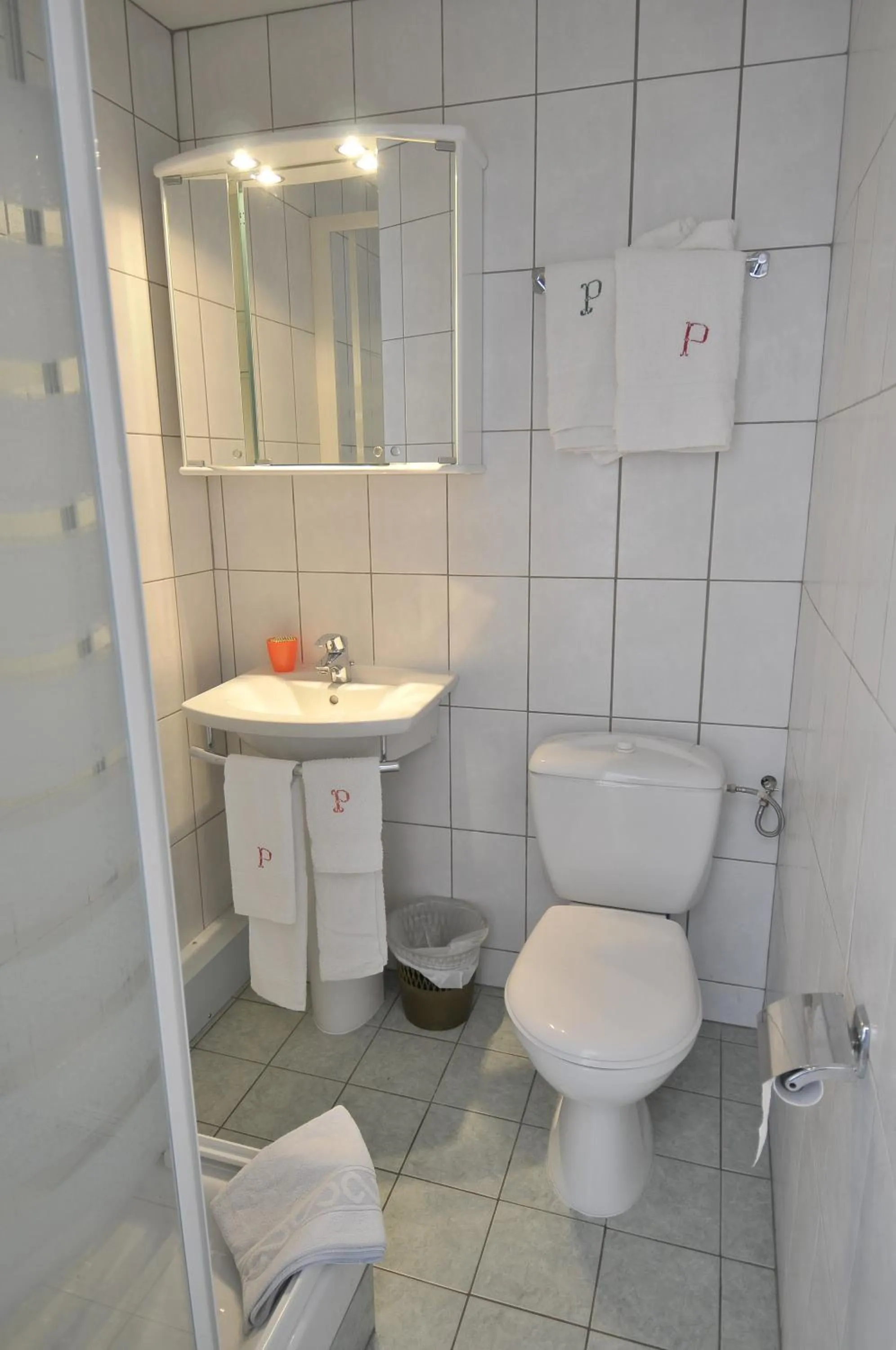 Toilet in Le Preconil