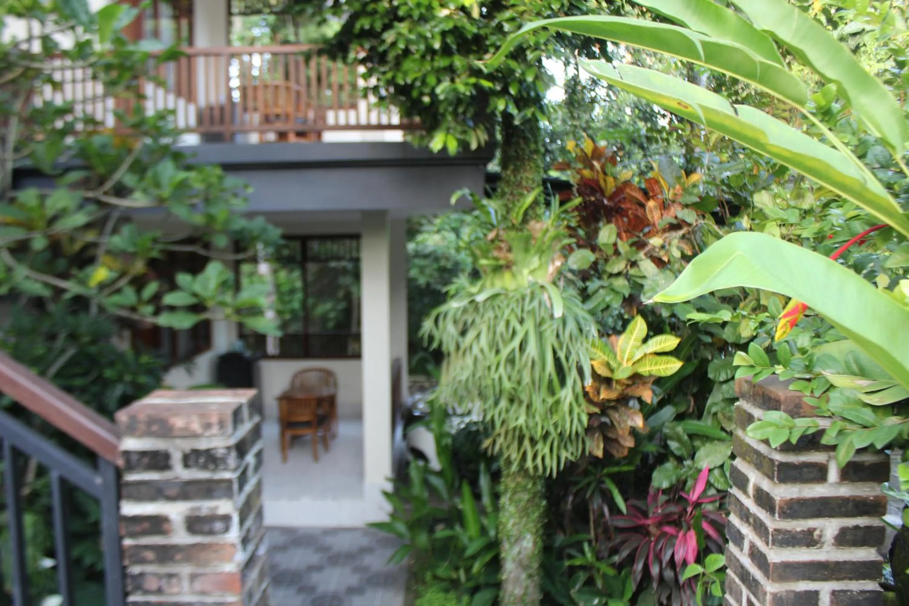 Garden in Balimas Guest House