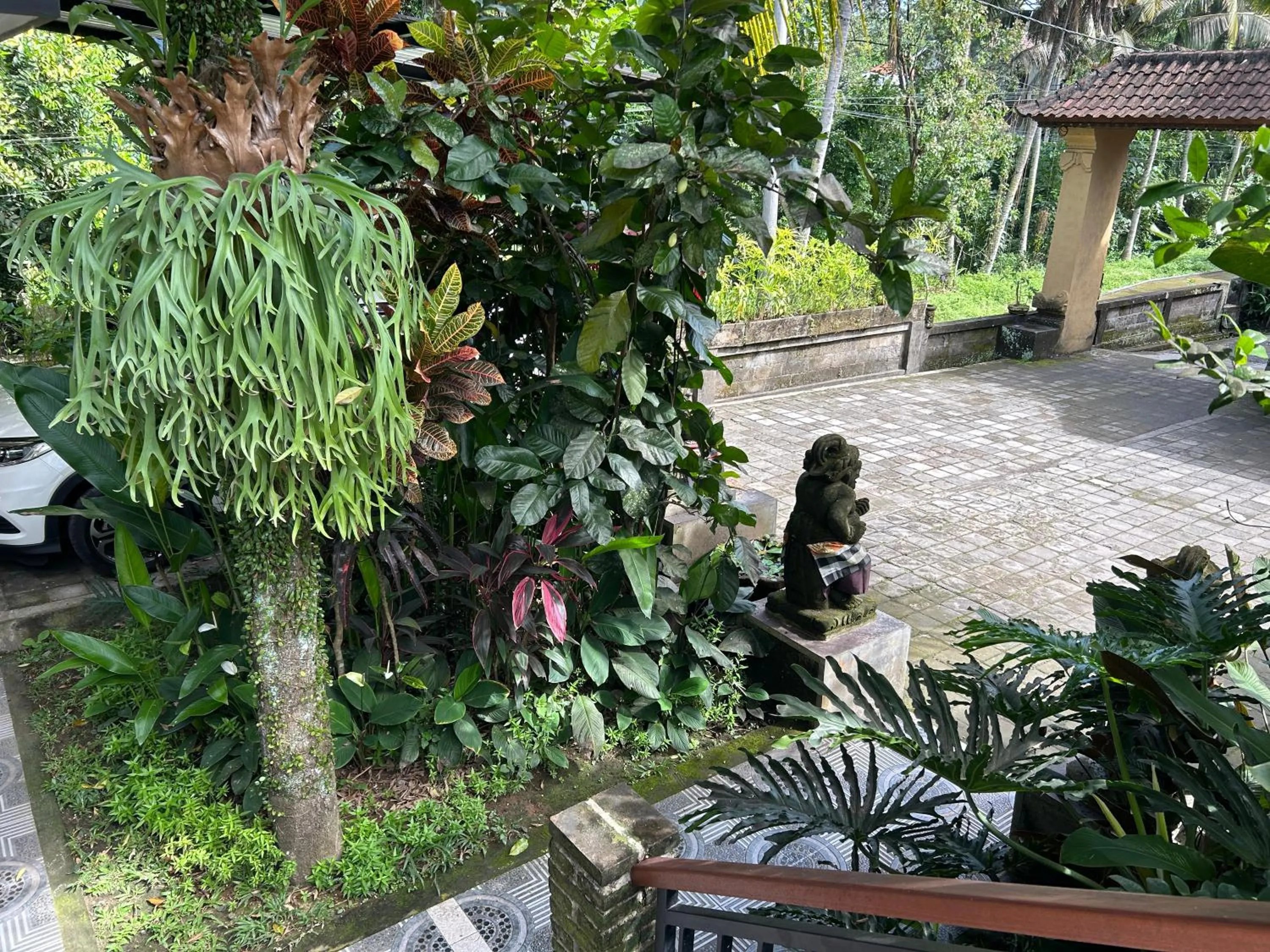 Garden view in Balimas Guest House