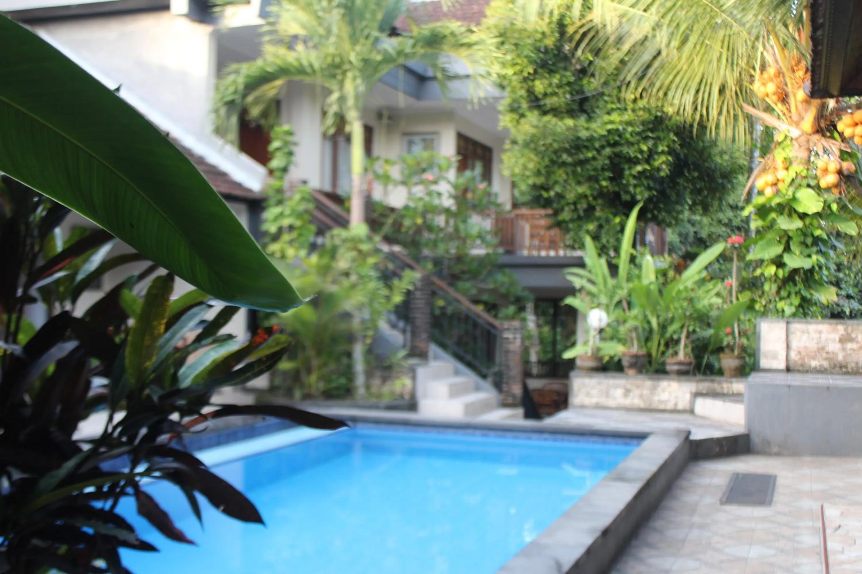 Swimming pool in Balimas Guest House