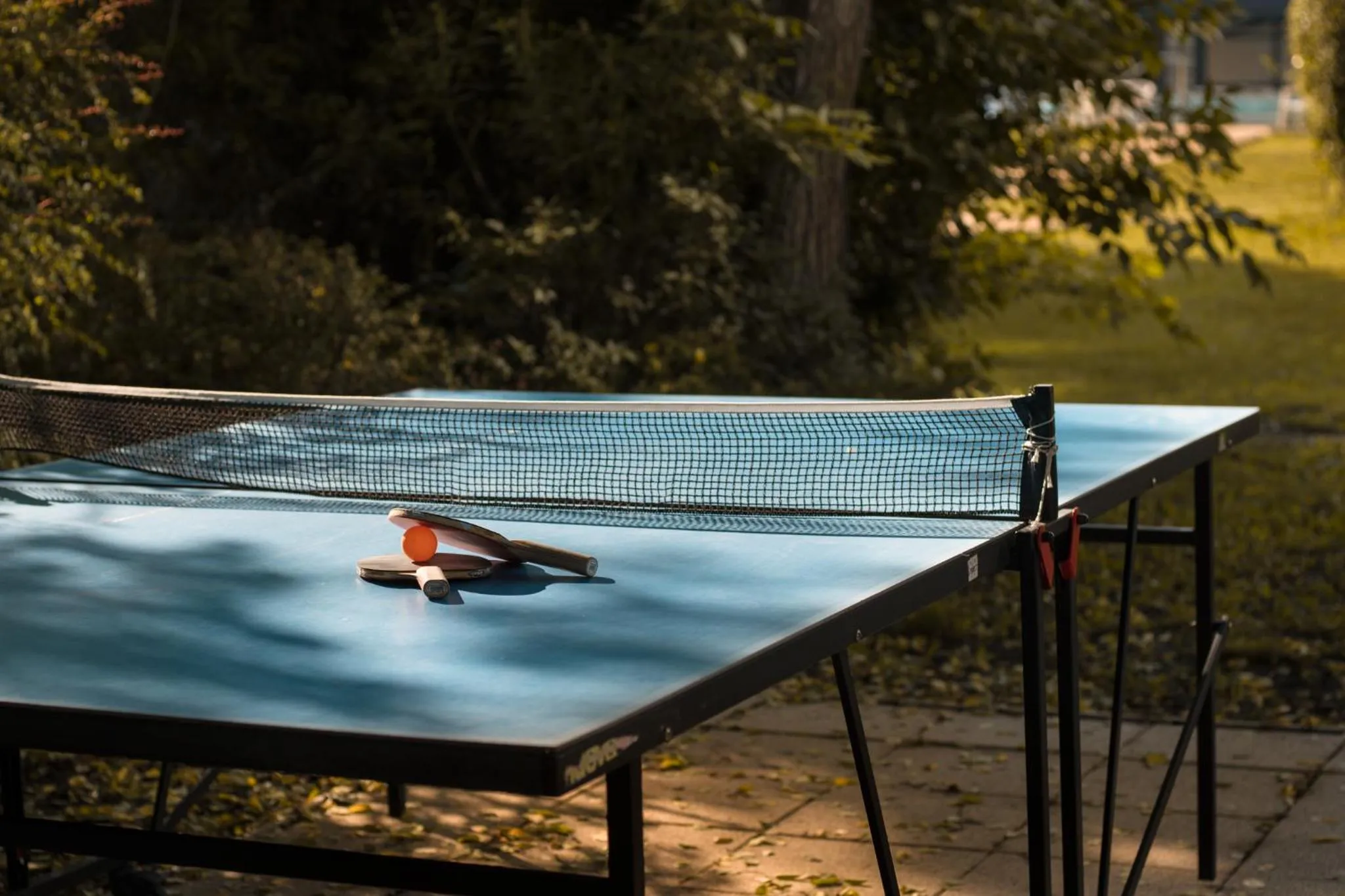 Table tennis in Thermal Hotel Garden