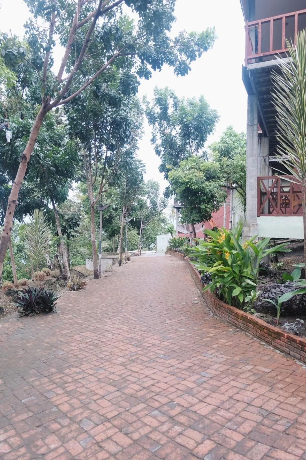 Garden in RedDoorz Syariah at Sumur Tiga Beach Sabang Aceh
