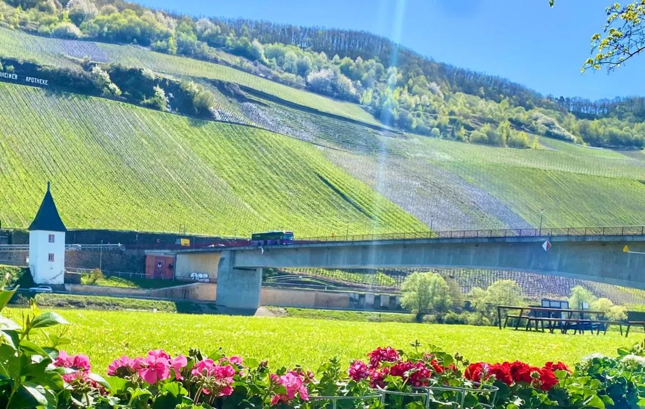 Hotel Krone Riesling