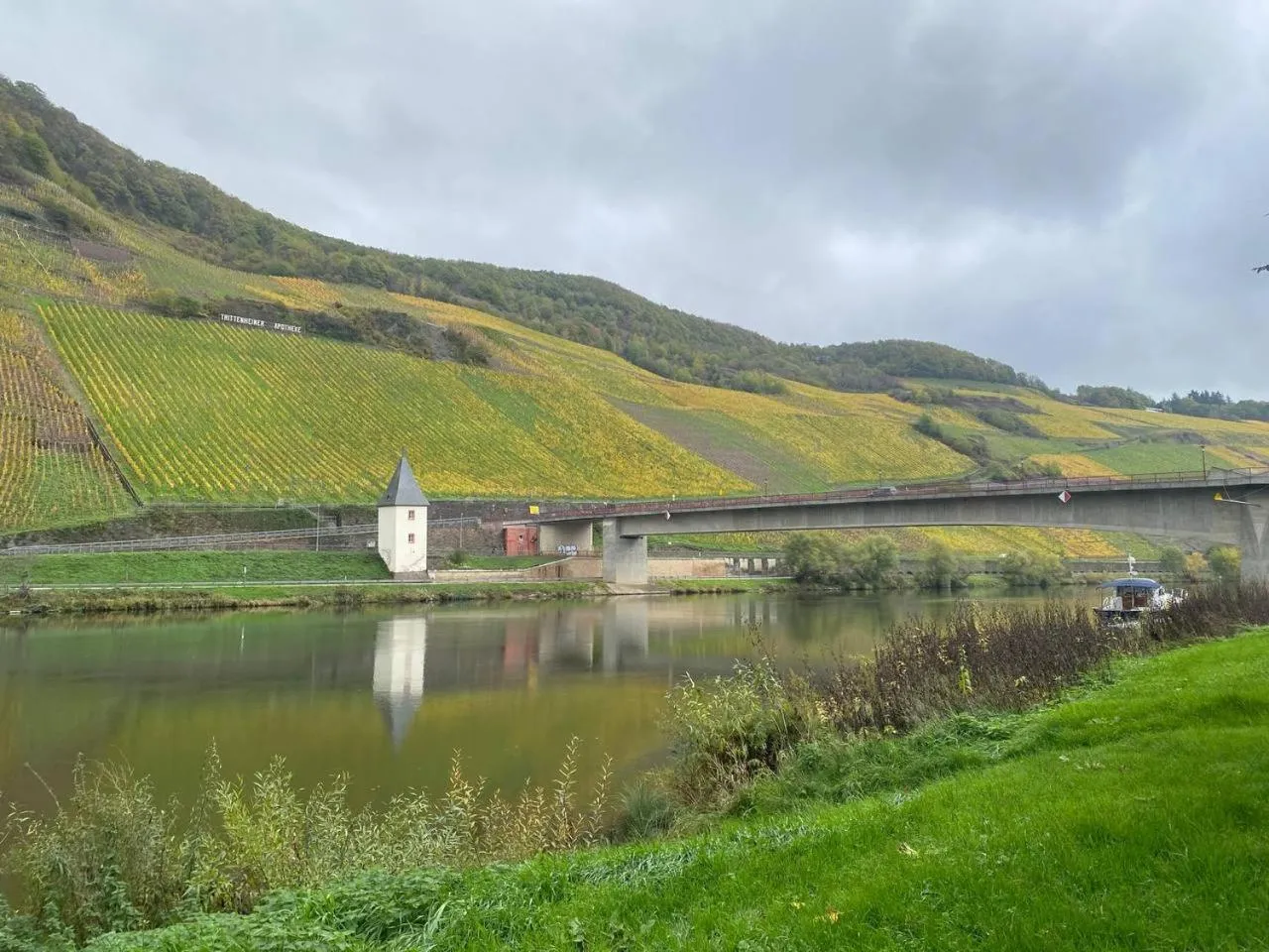 Hotel Krone Riesling