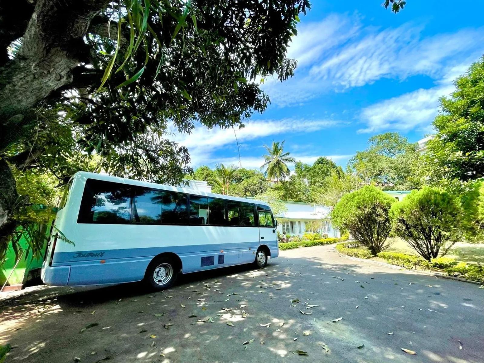 Spring in Fortuna Heritage Home