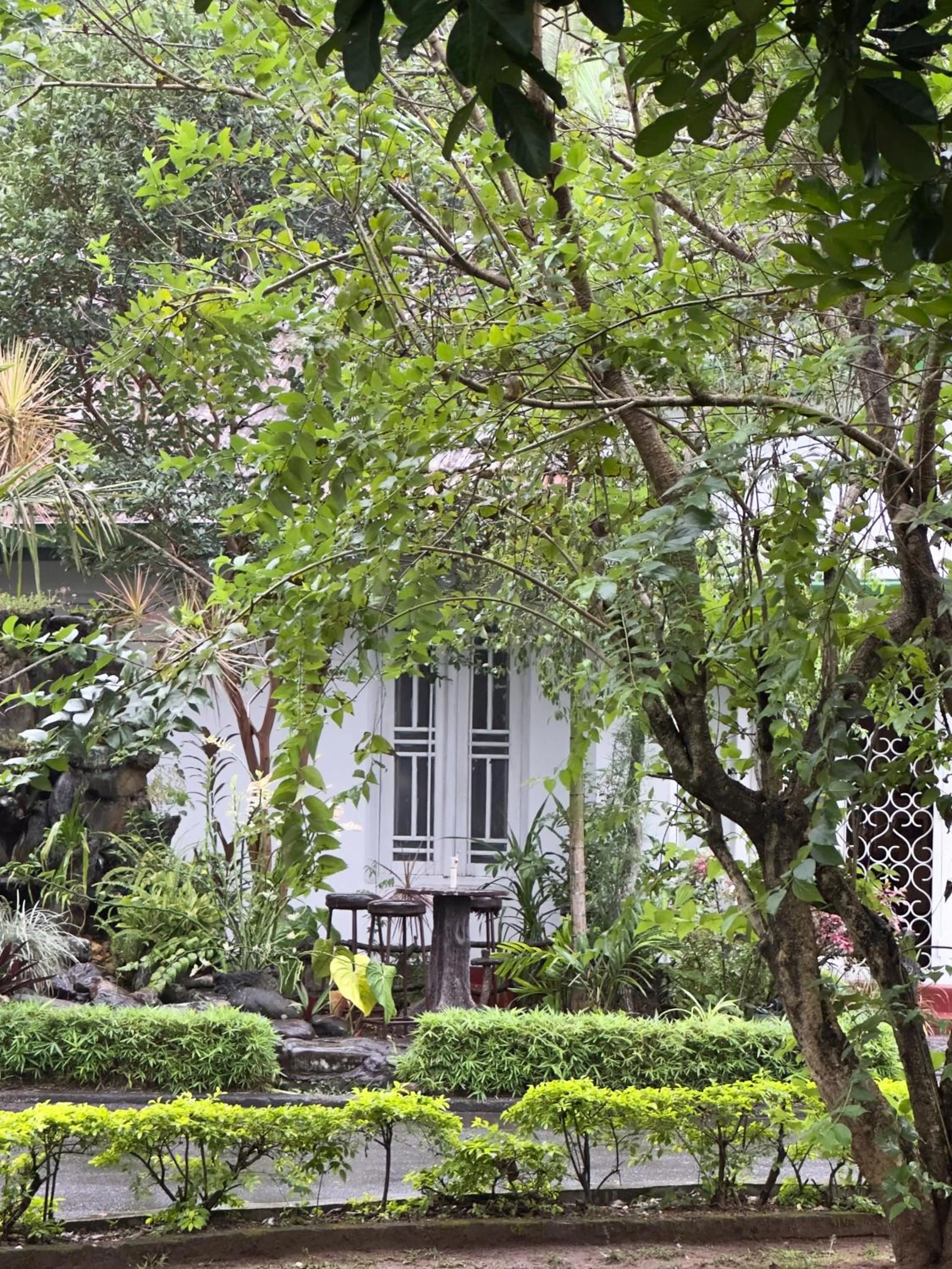 Property building in Fortuna Heritage Home