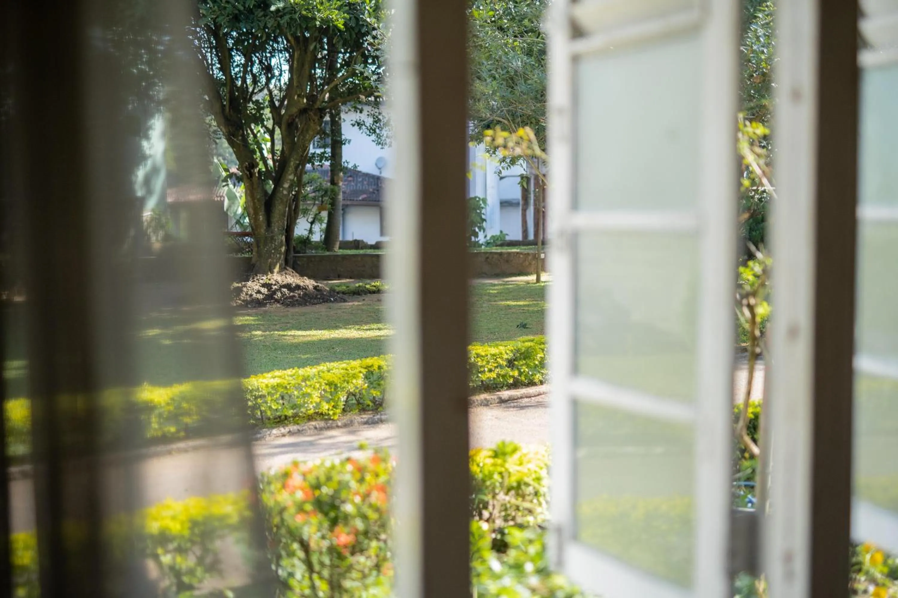 Spring in Fortuna Heritage Home