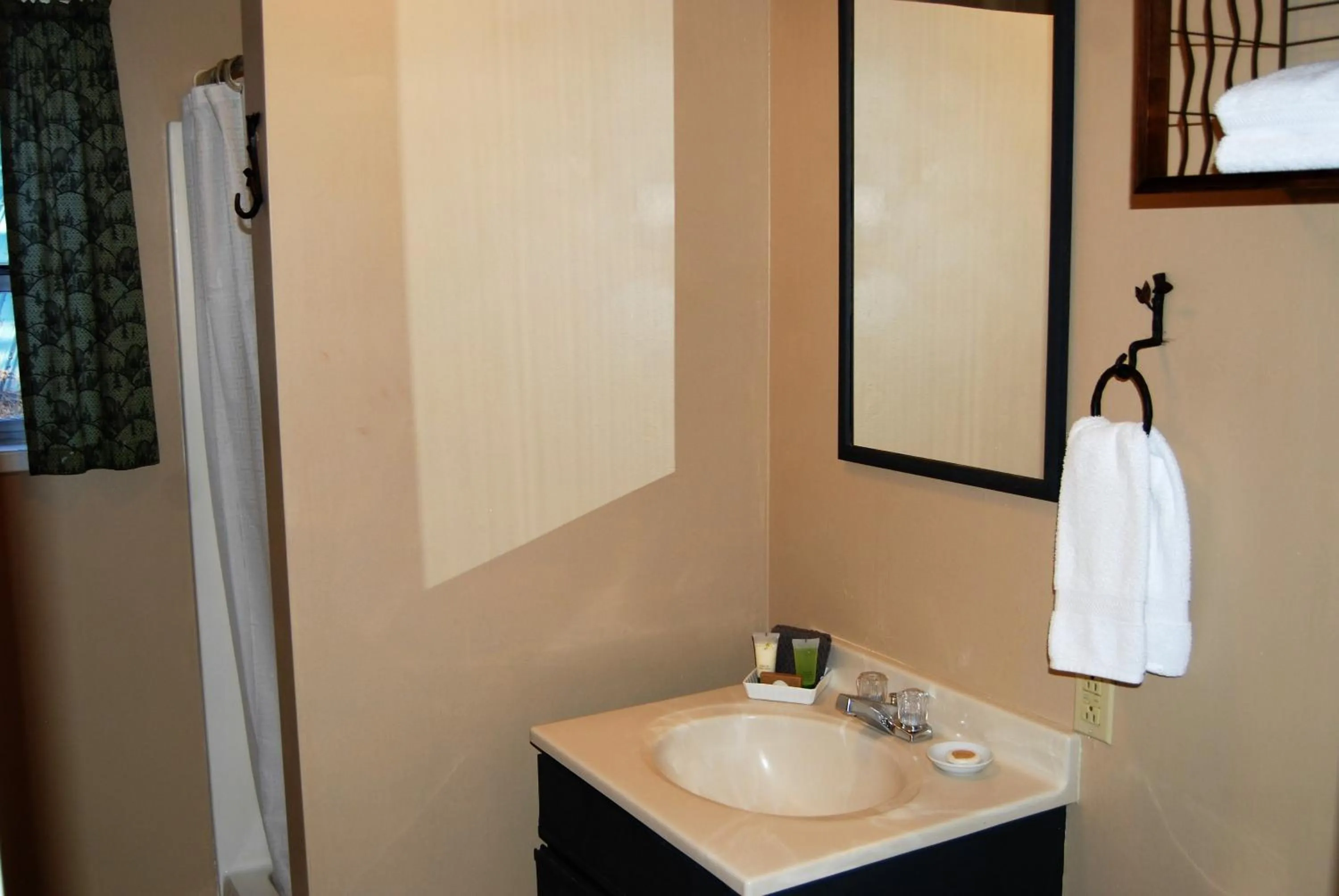 Bathroom in Edelweiss Lodge