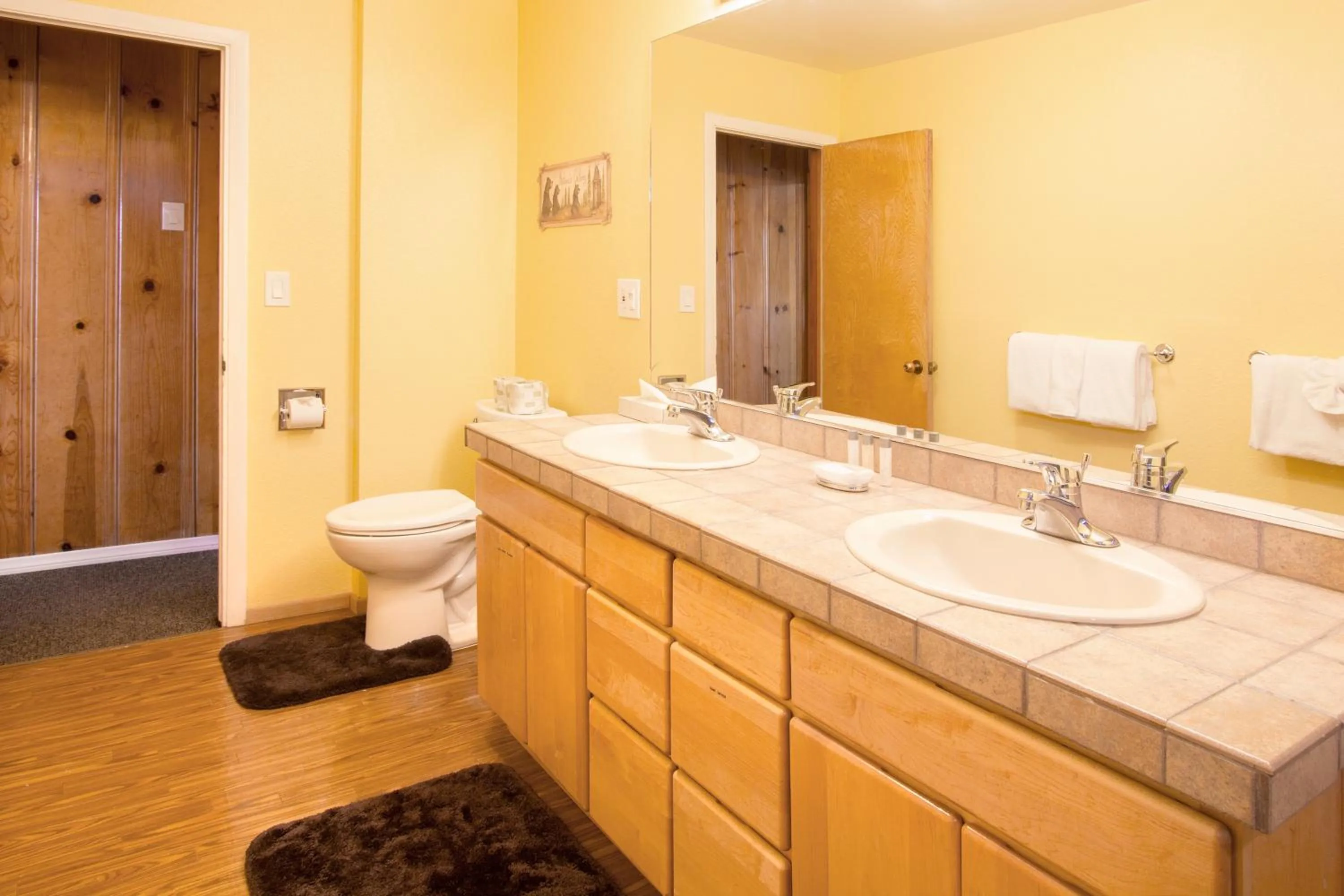 Bathroom in Edelweiss Lodge