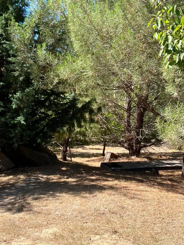 Garden in Blue Cliffs Retreat