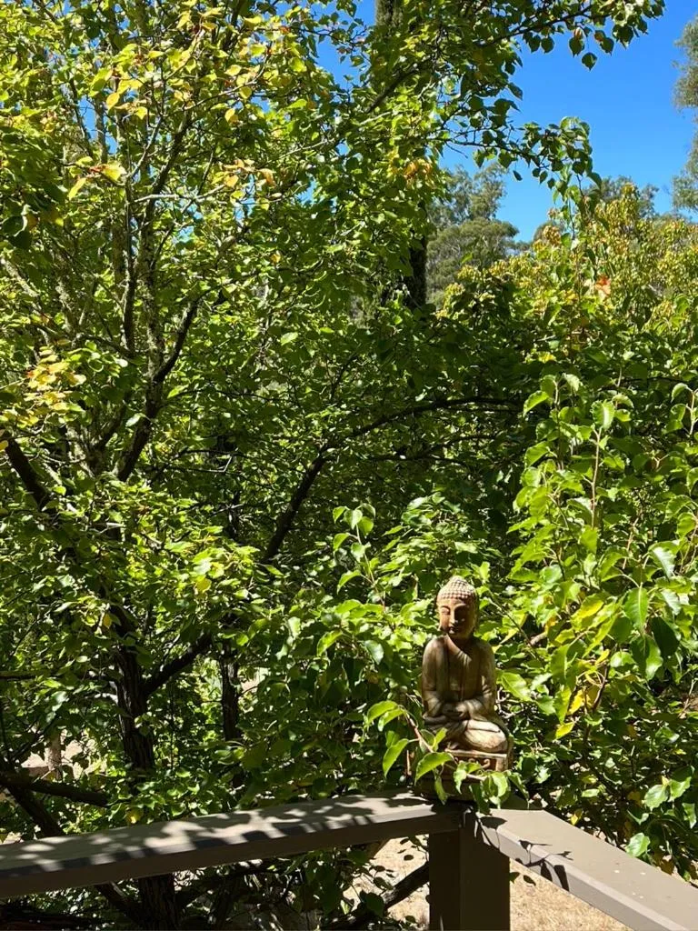 Garden in Blue Cliffs Retreat