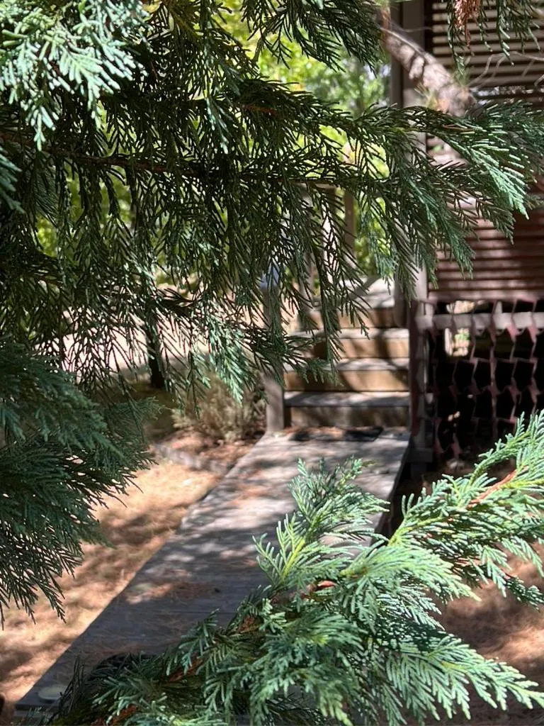 Balcony/Terrace in Blue Cliffs Retreat