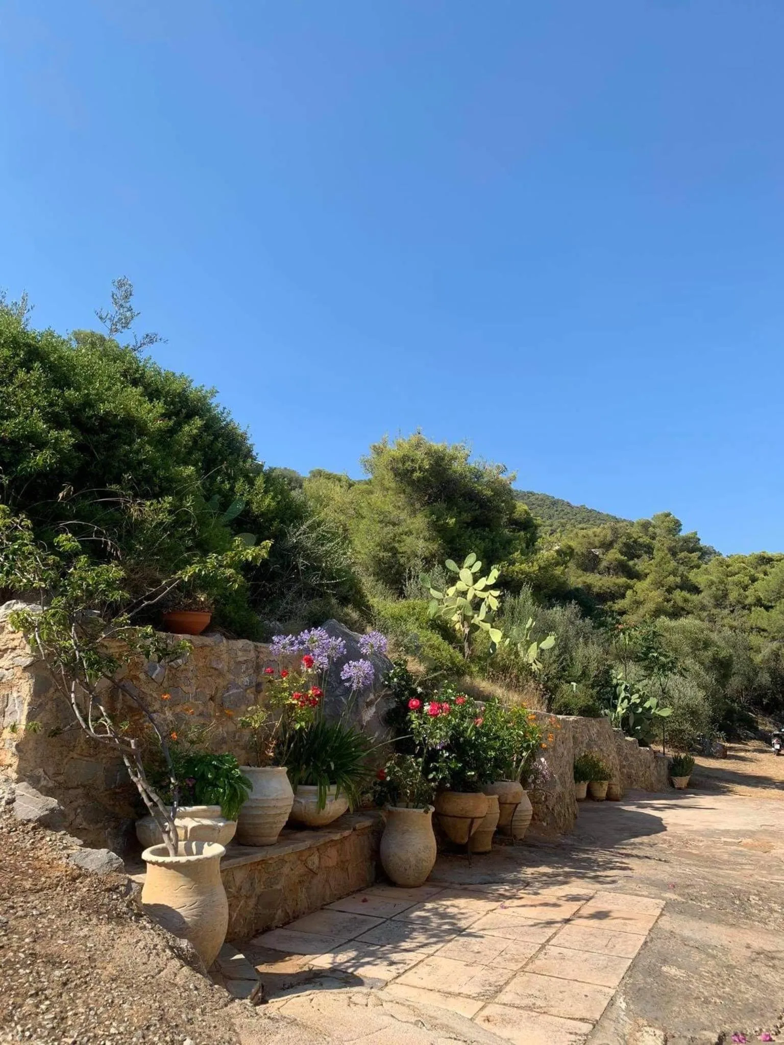 Day in Fedra Apartments