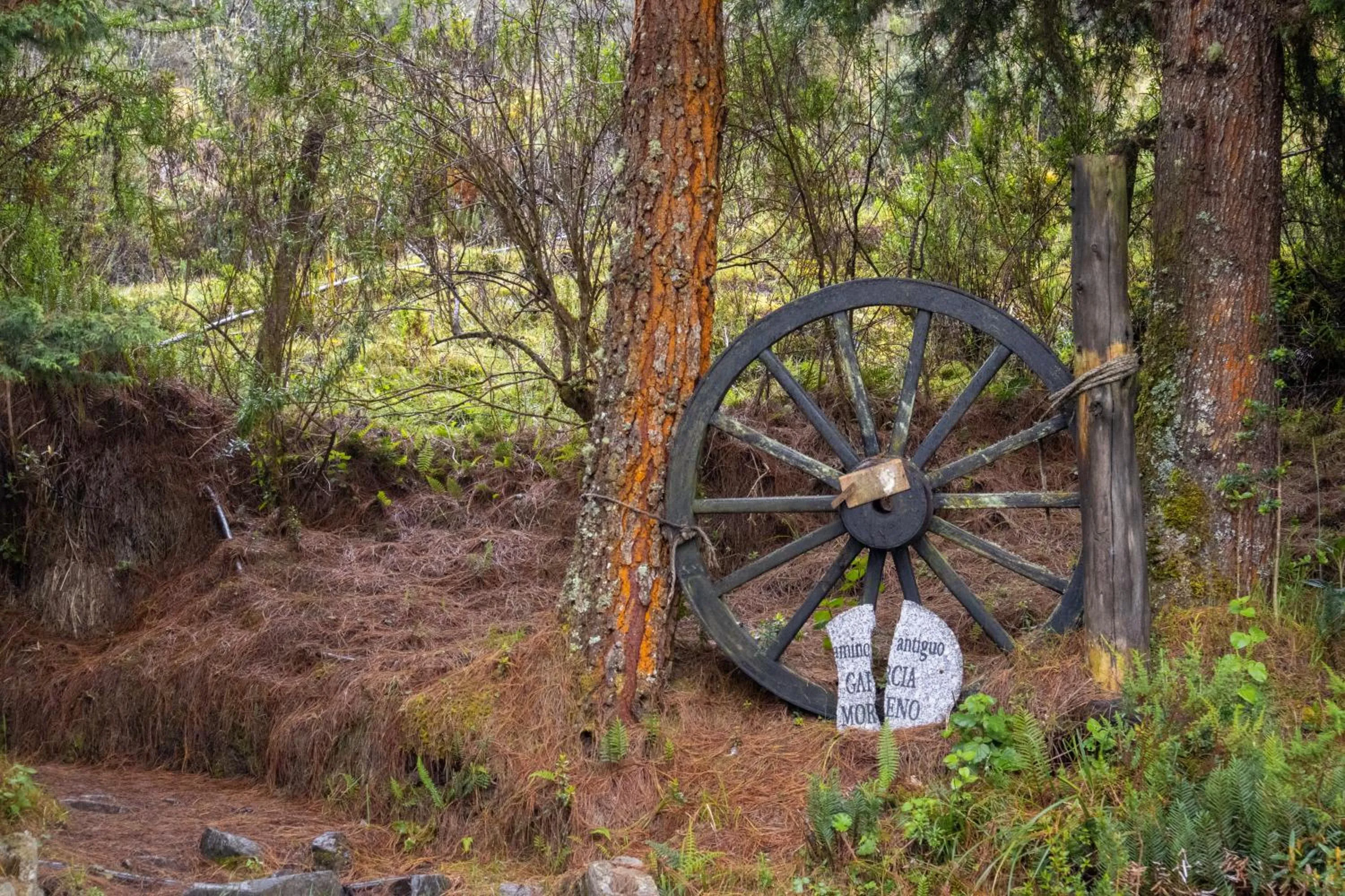 Natural landscape in Hacienda Hostería Dos Chorreras