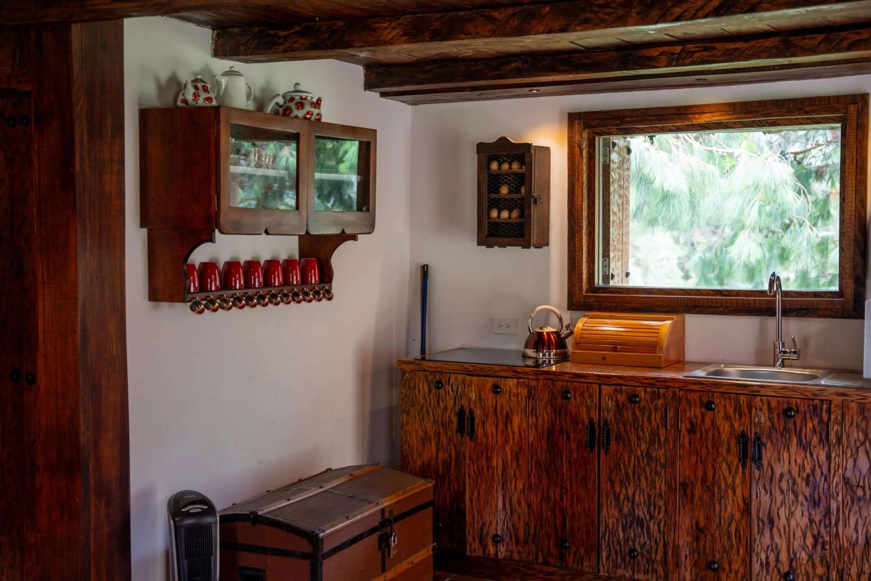 Kitchen or kitchenette in Hacienda Hostería Dos Chorreras