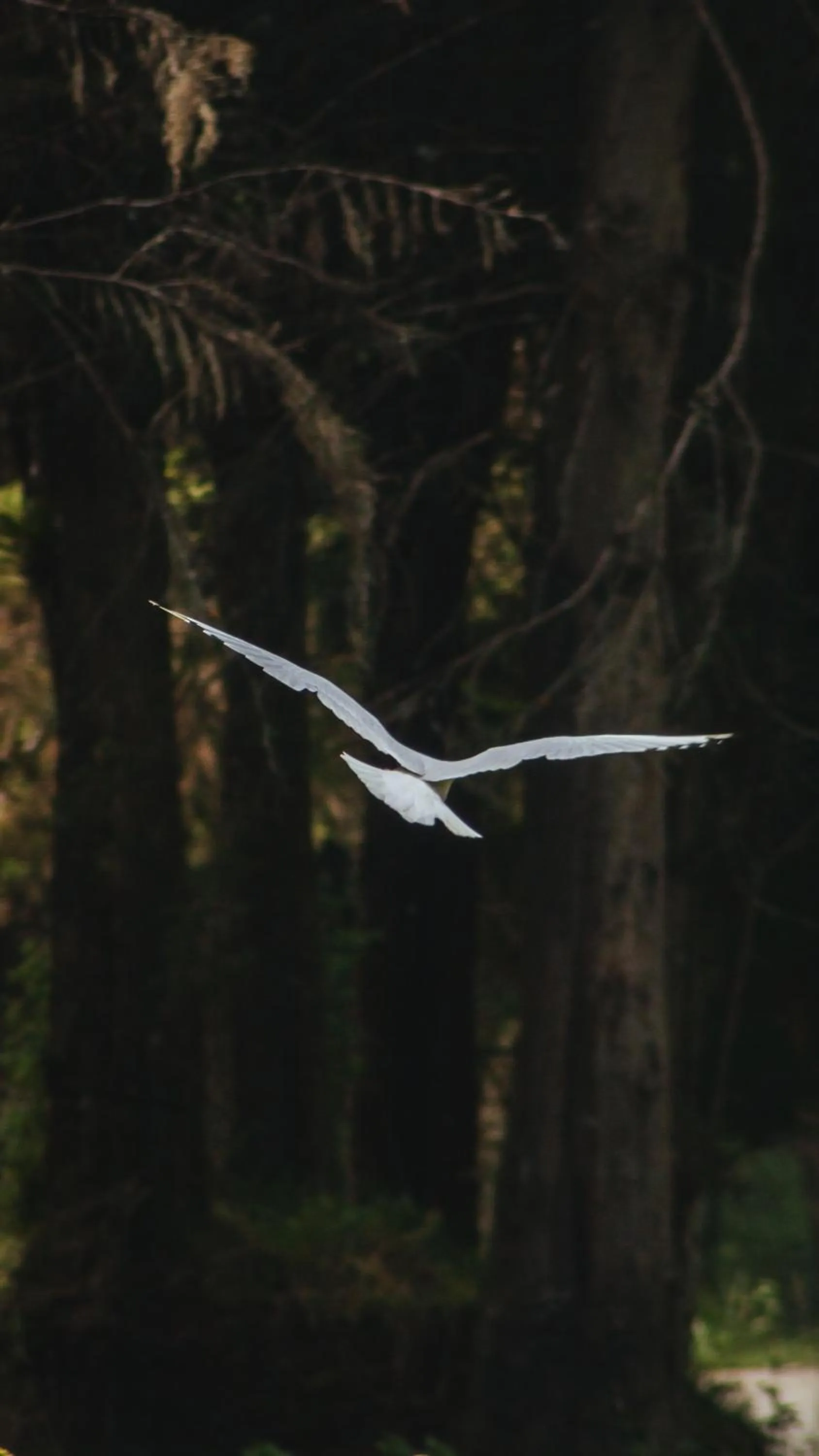 Off site in Hacienda Hostería Dos Chorreras