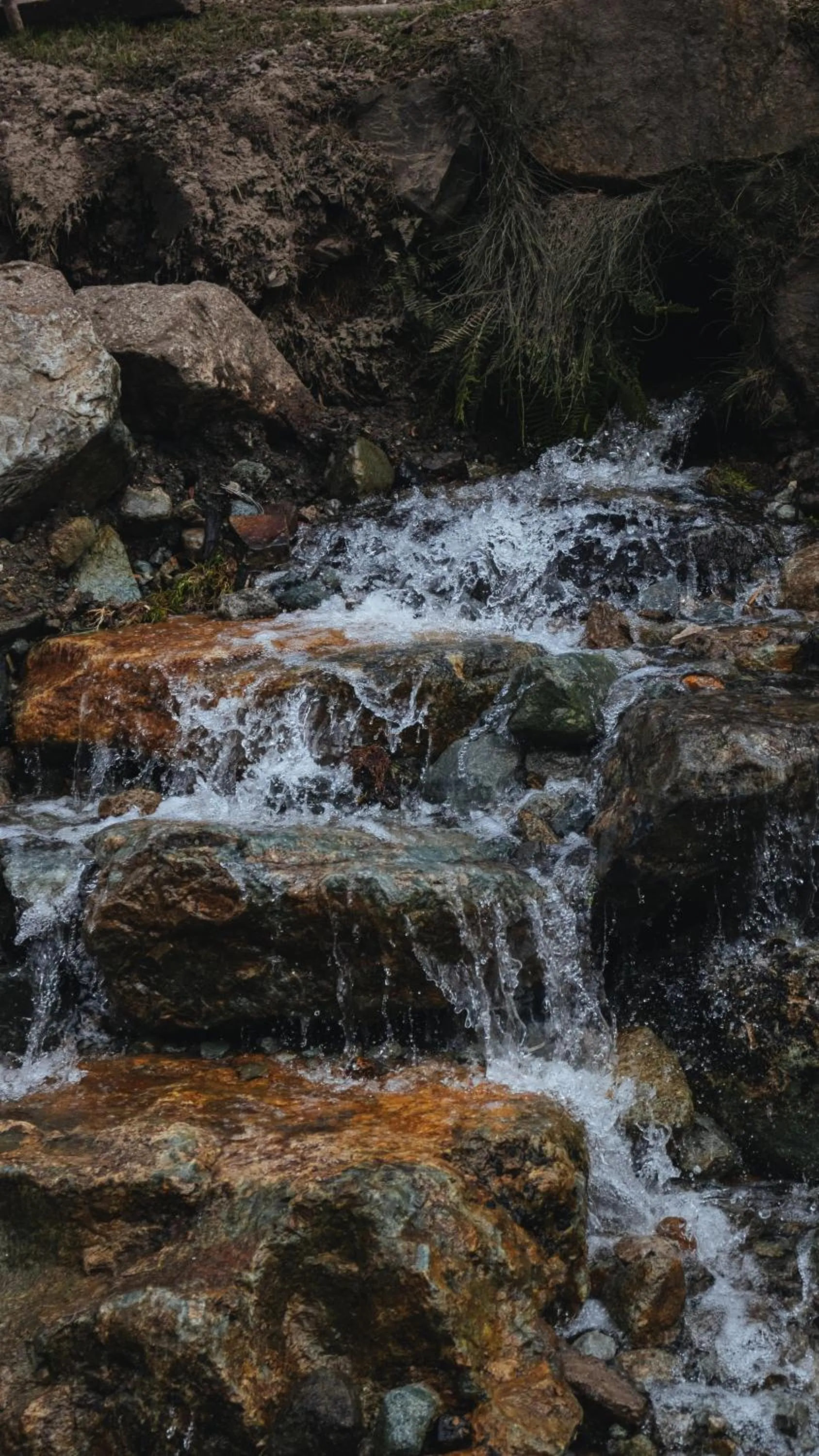 Fishing in Hacienda Hostería Dos Chorreras