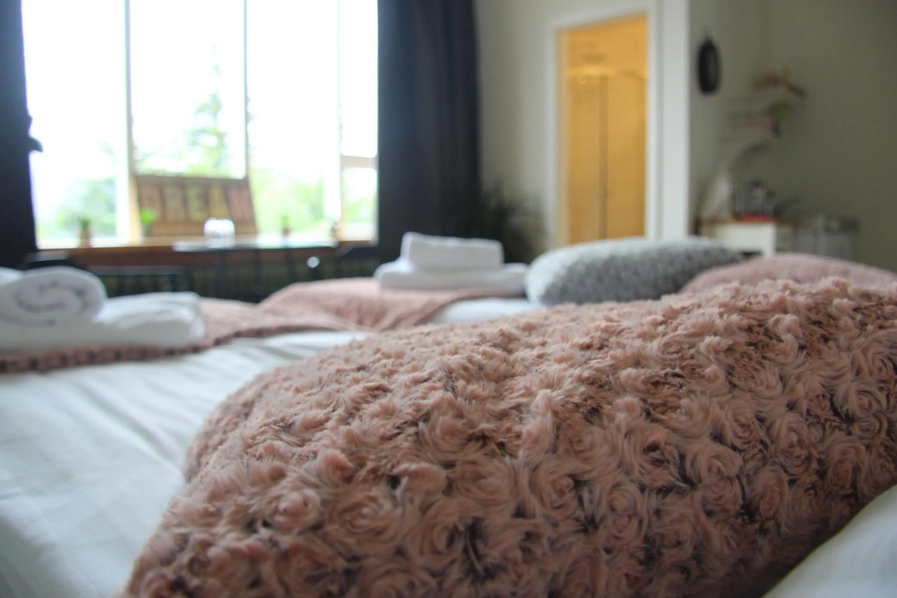 Bed in Private and peaceful one bedroom apartments