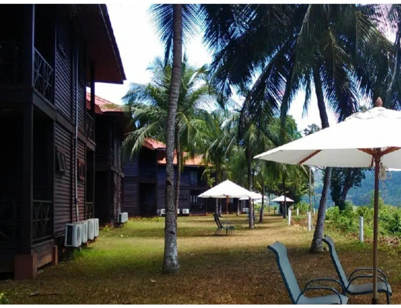 Garden in Redang Island Resort