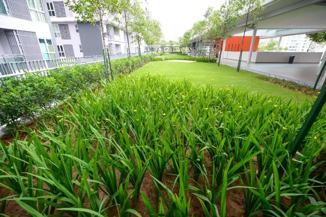 By the sea Beach BABY