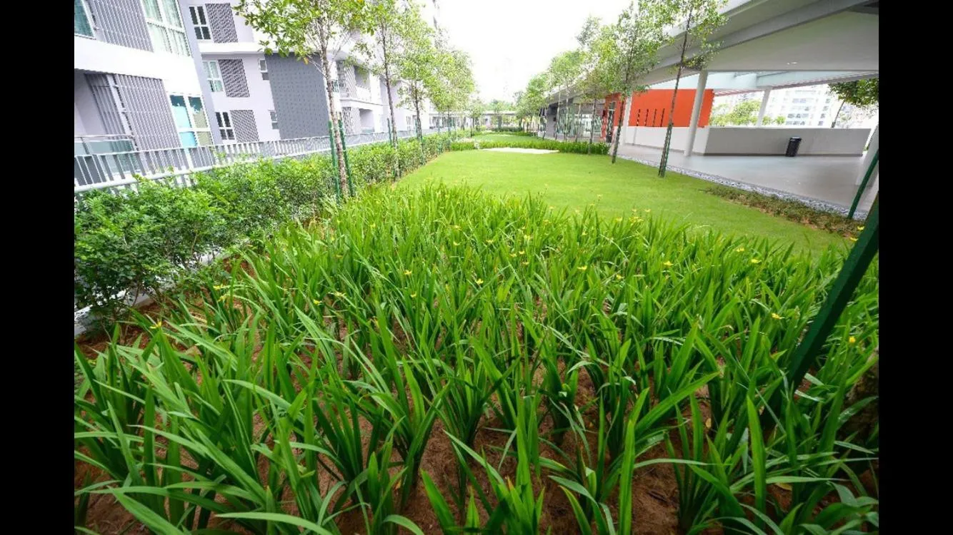 Property building in By the sea Beach BABY