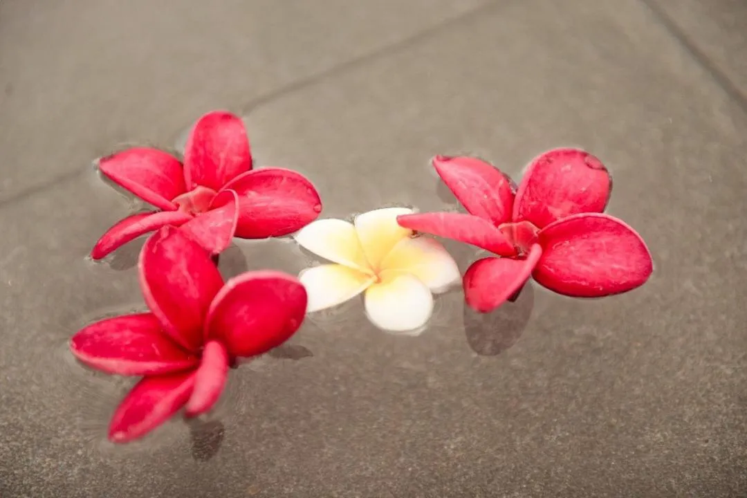 By the sea Beach BABY