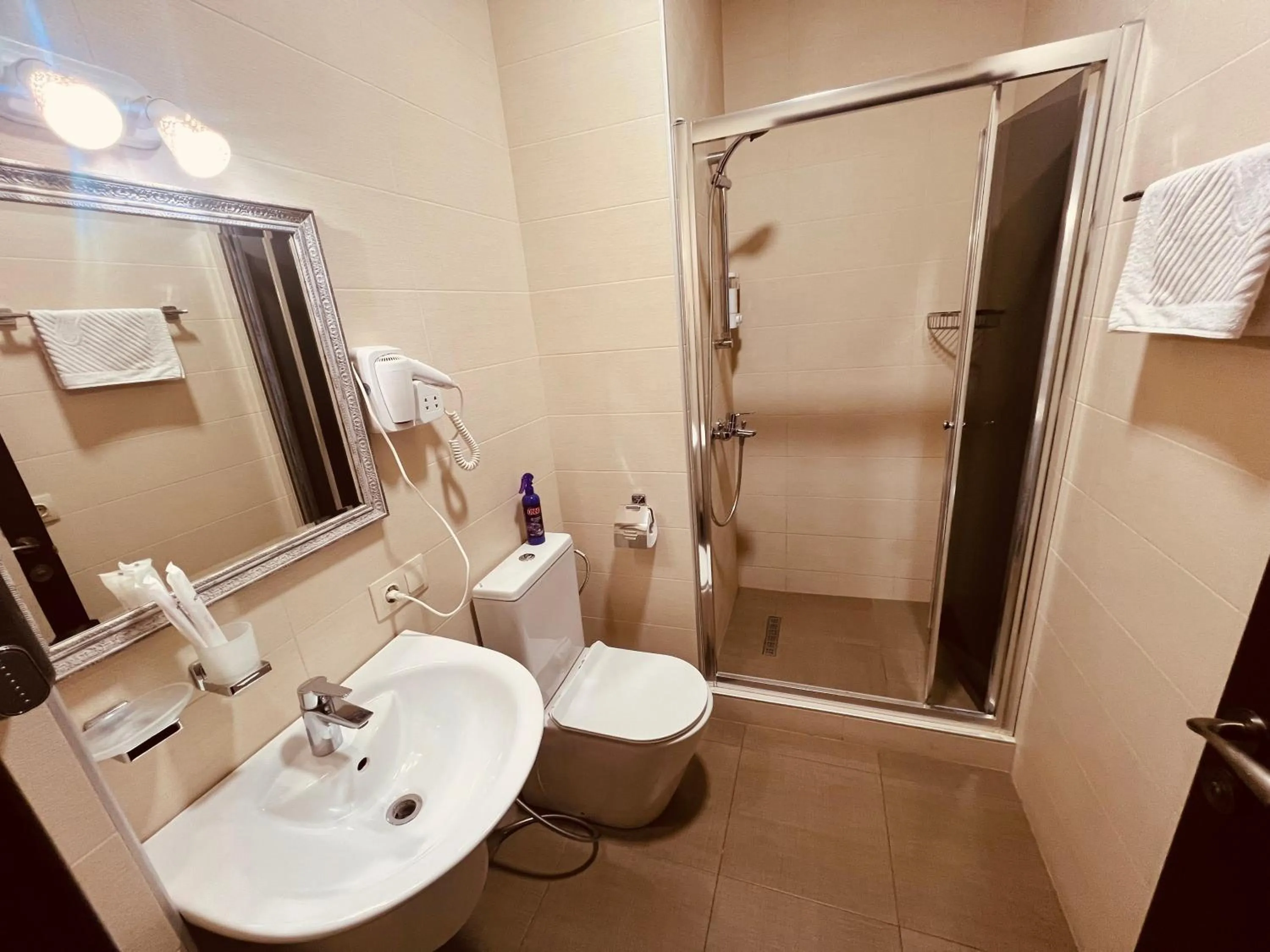 Bathroom in Hotel Griboedov