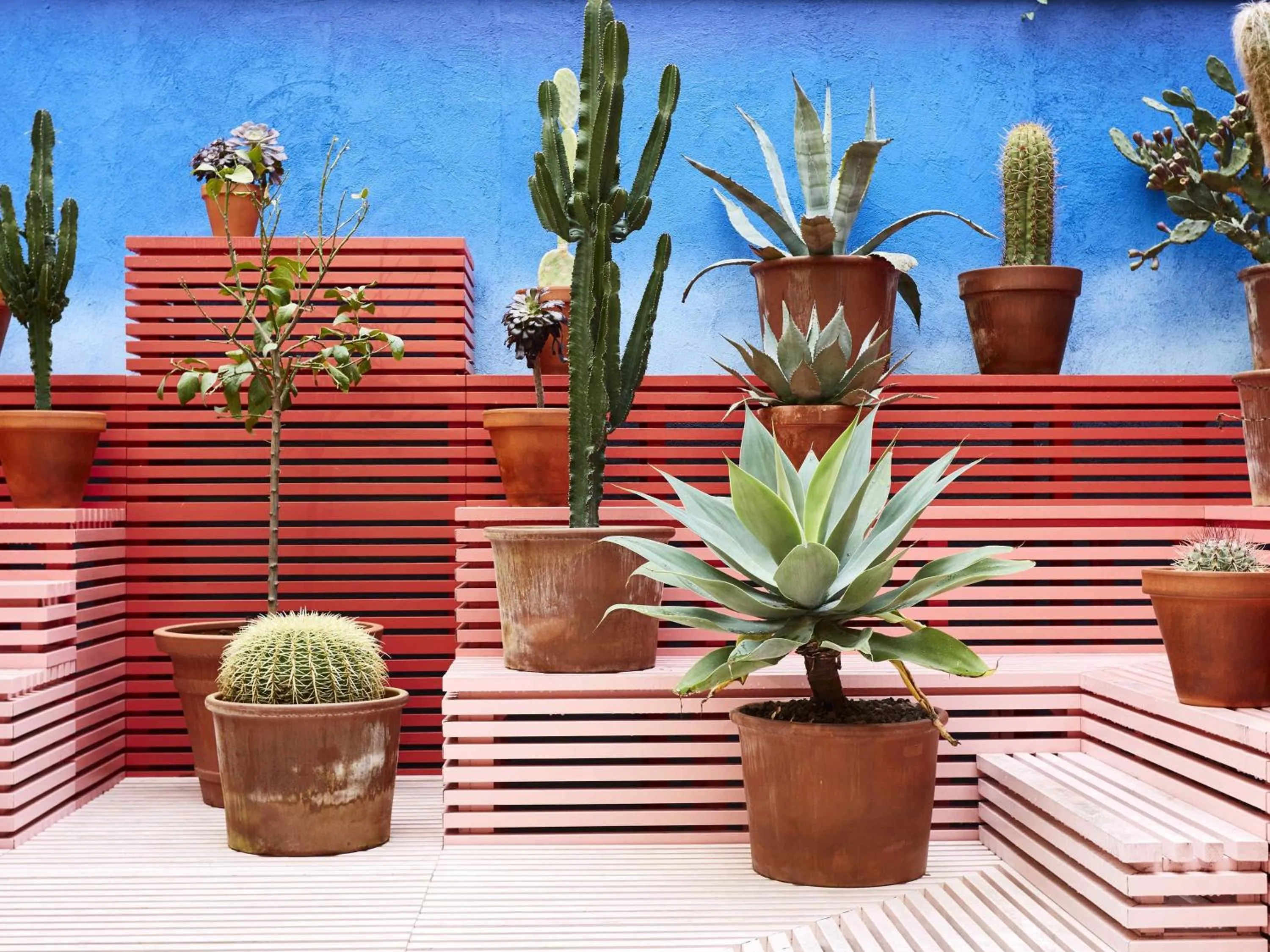 Restaurant/places to eat in Mama Shelter Marseille