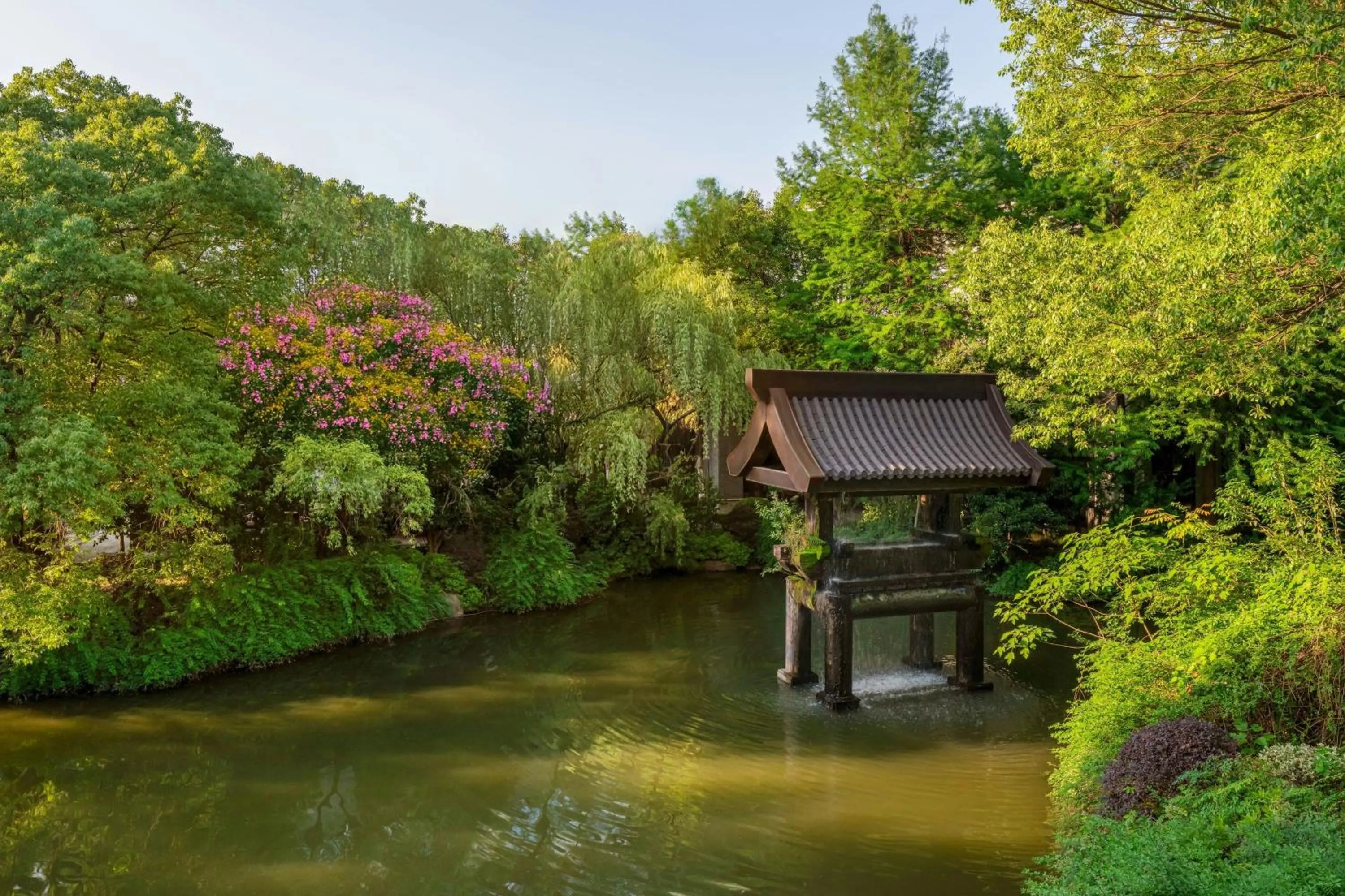 View (from property/room) in Sheraton Grand Hangzhou Wetland Park Resort