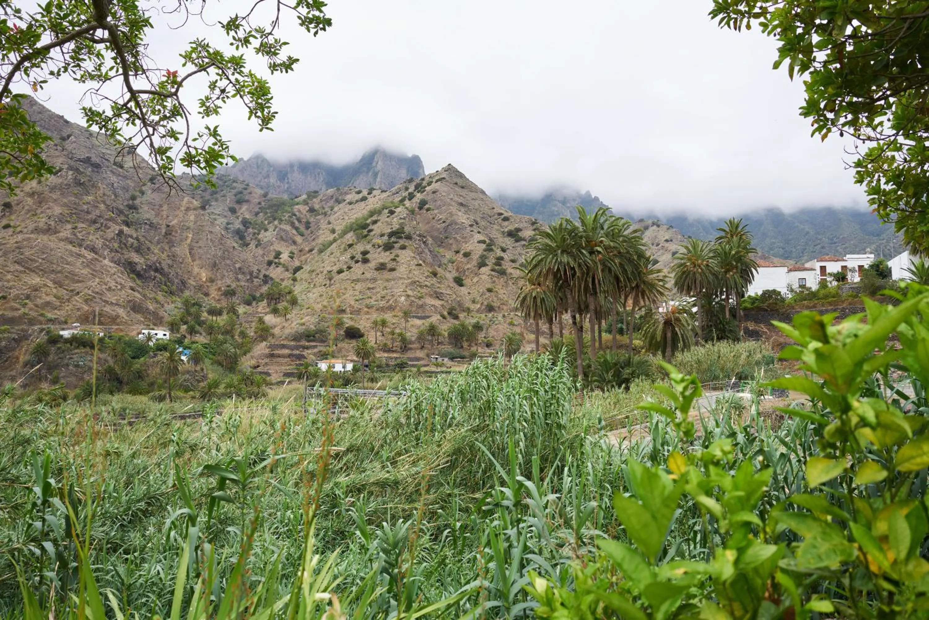 Mountain view in Finca Piñero
