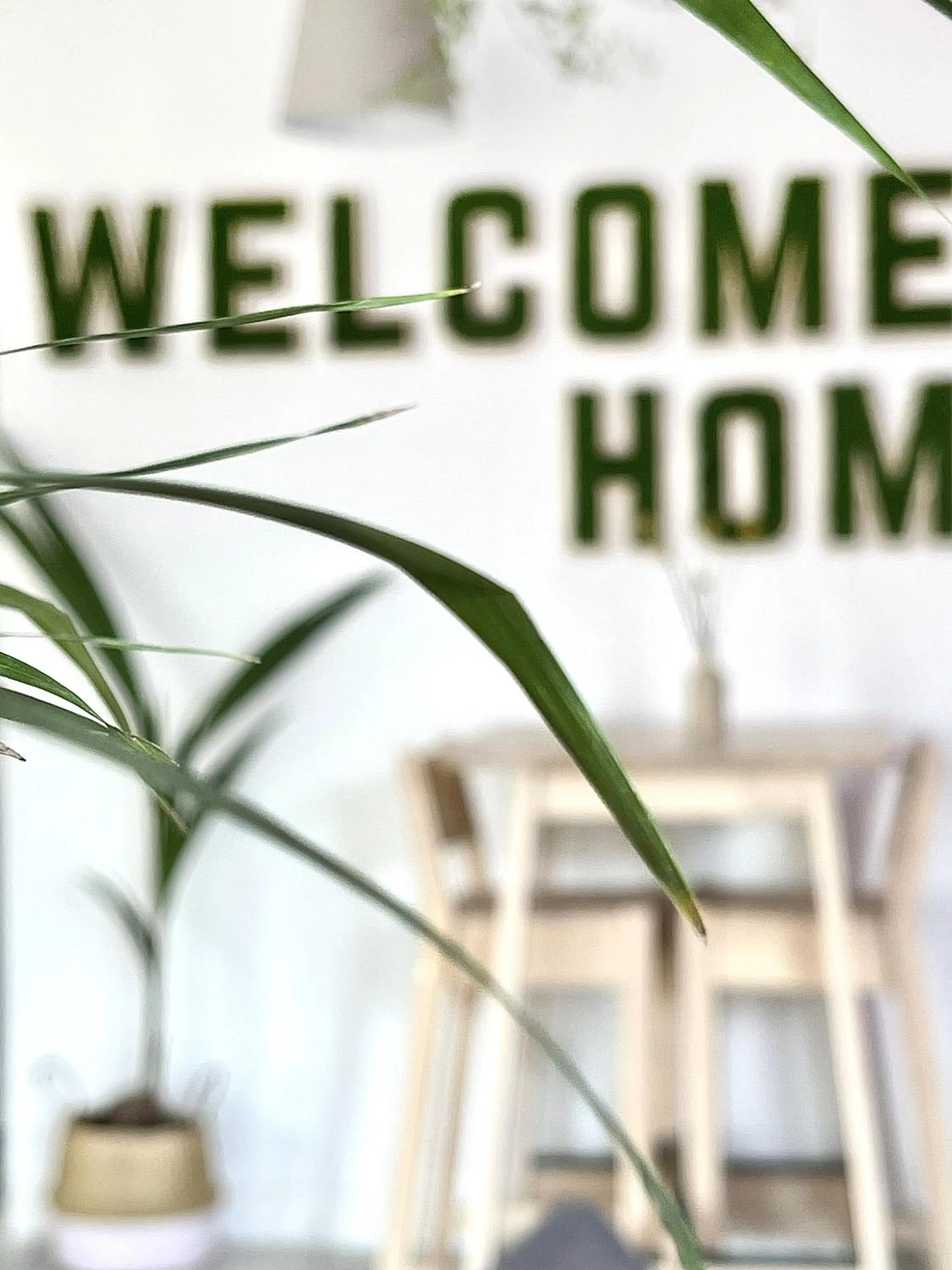 Lobby or reception in Hotel Blumen