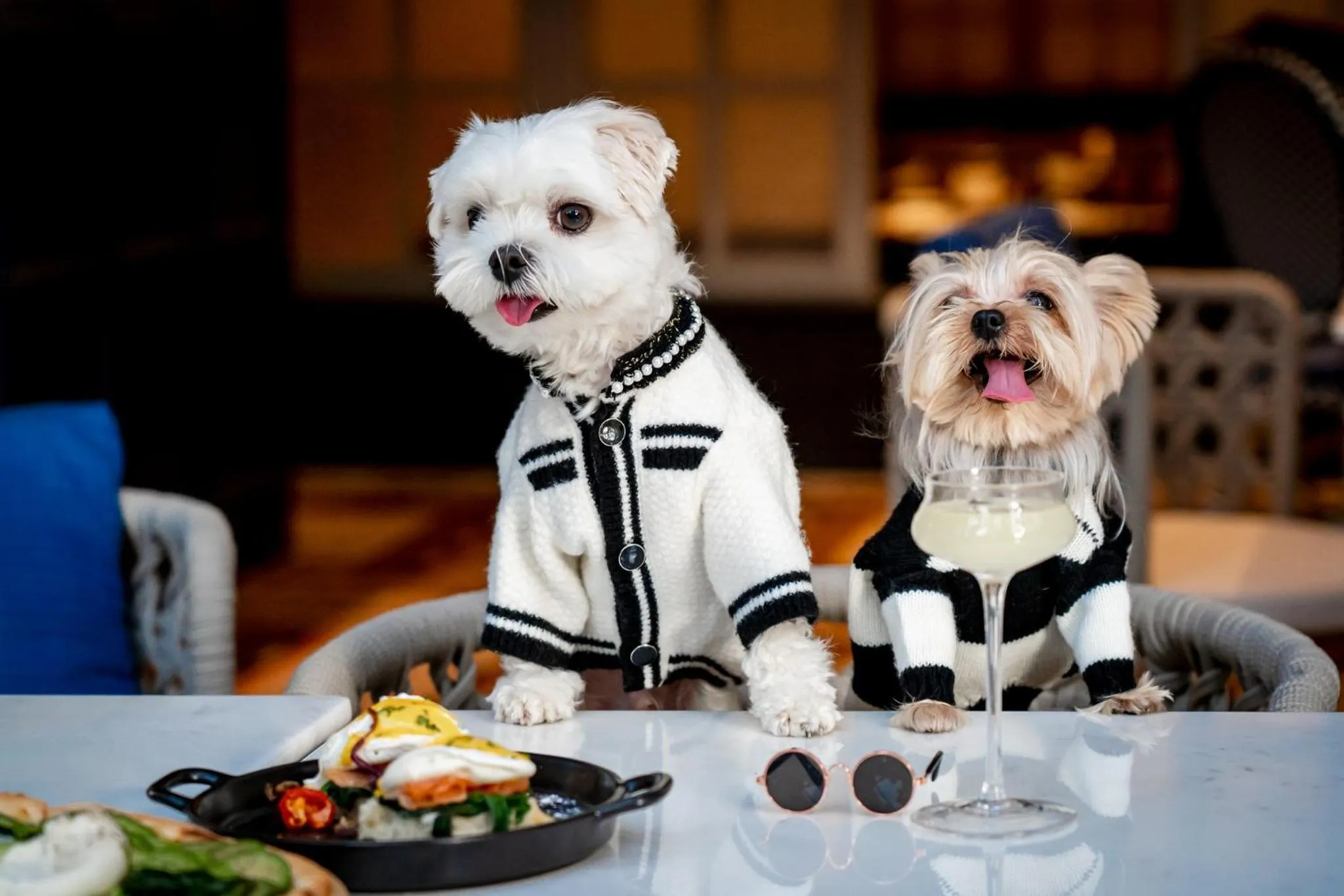 Restaurant/places to eat in Hotel Indigo Shenzhen Overseas Chinese Town by IHG