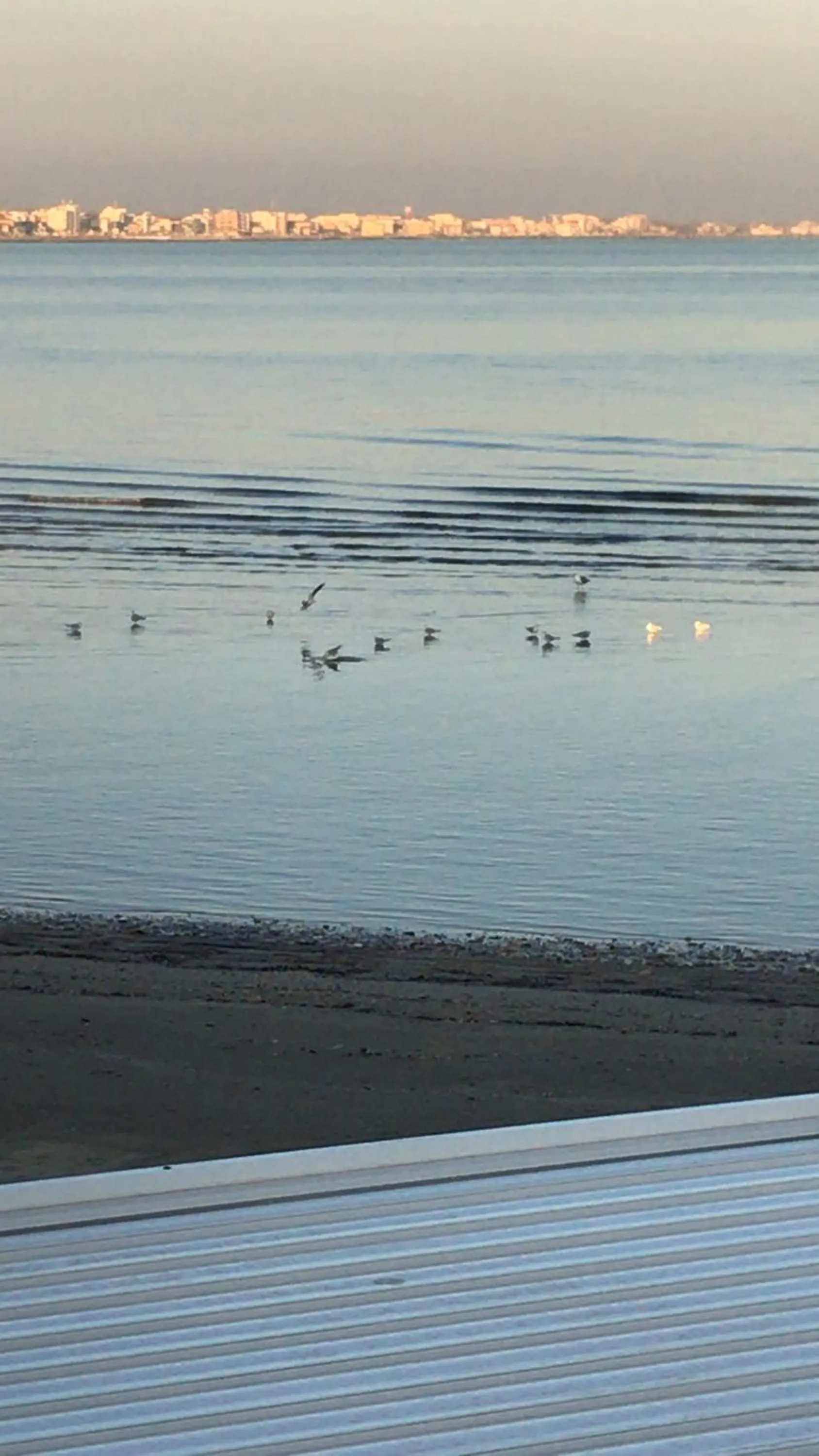 Natural landscape in Villa Grazia