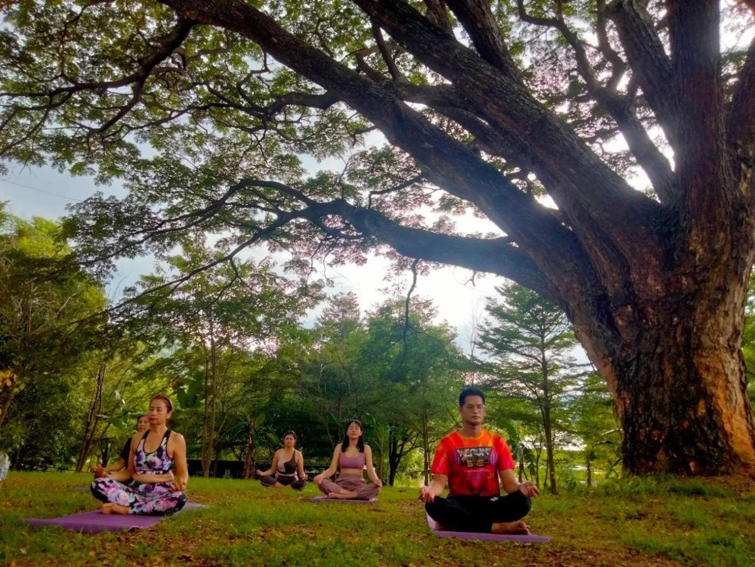 The Piano Resort Khaoyai