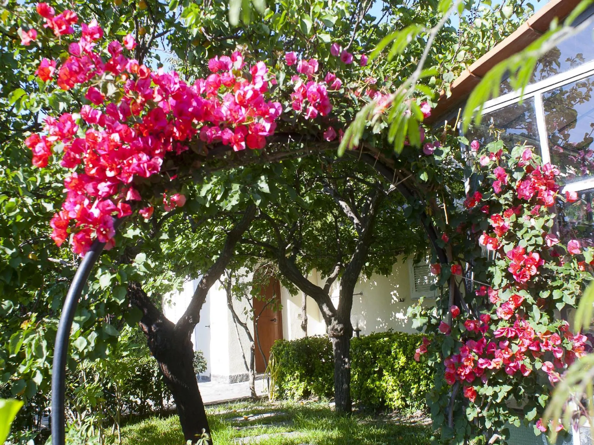 Garden in Resort Terme La Pergola