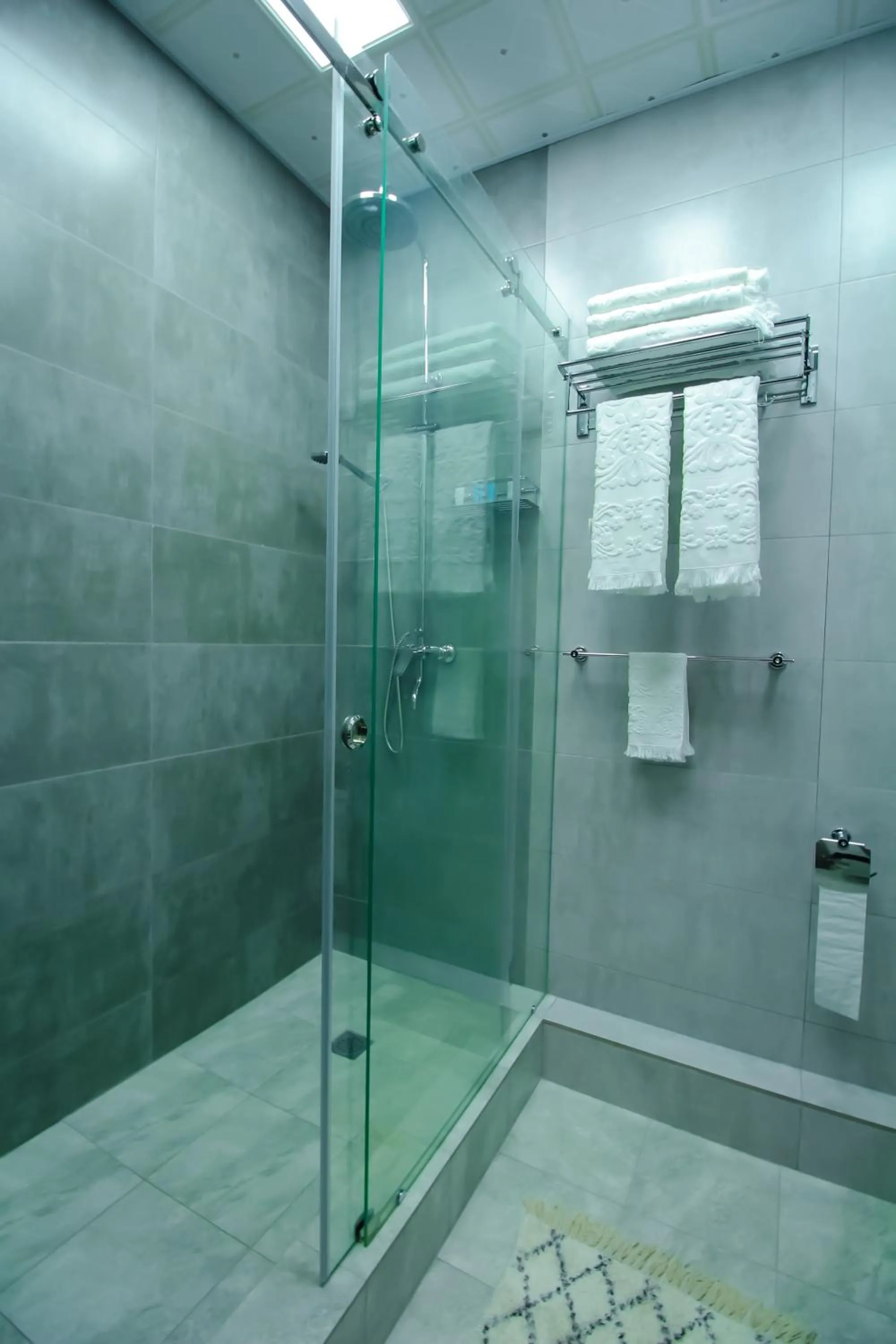 Shower in SAFIR BUSINESS HOTEL o