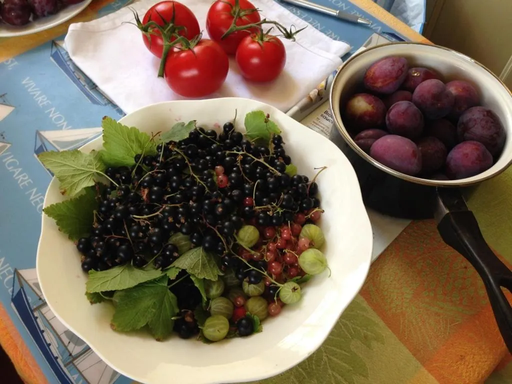 Breakfast in Val d'Arguenon