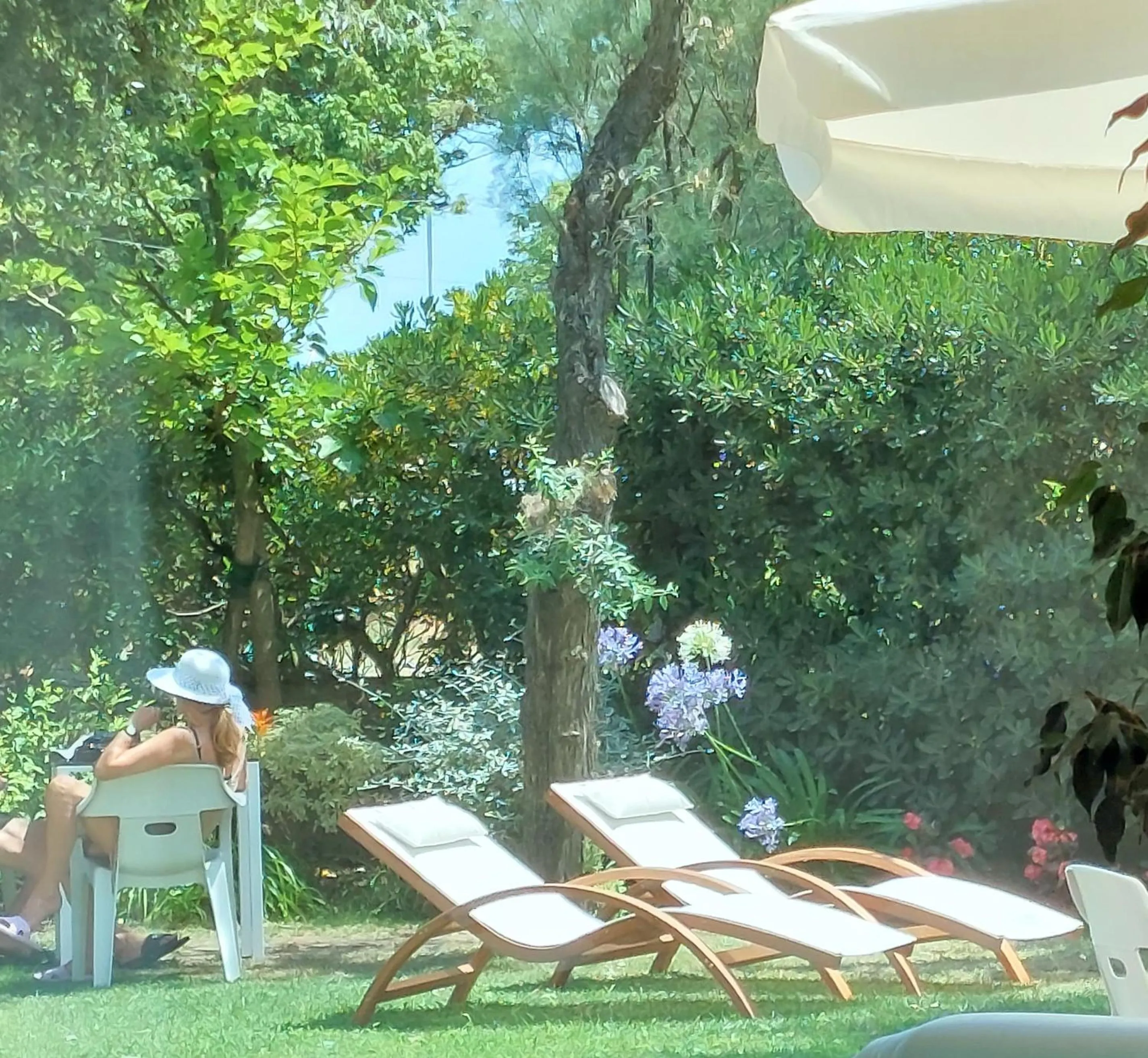 Garden in Hotel Astor B&B