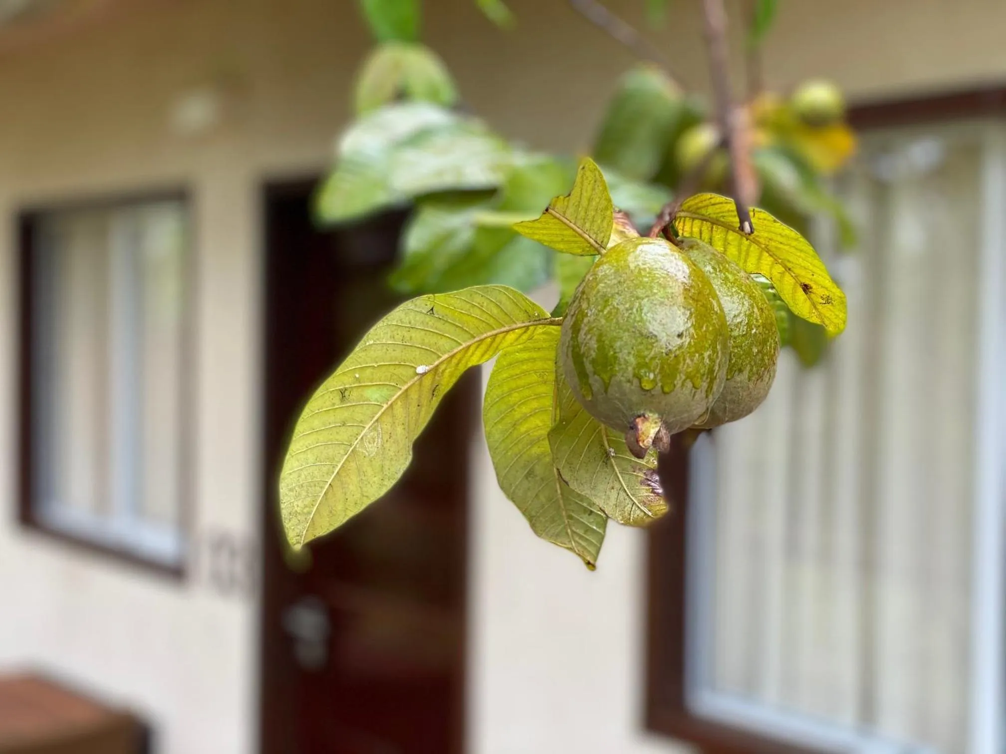 View (from property/room) in Pousada Lua Bela
