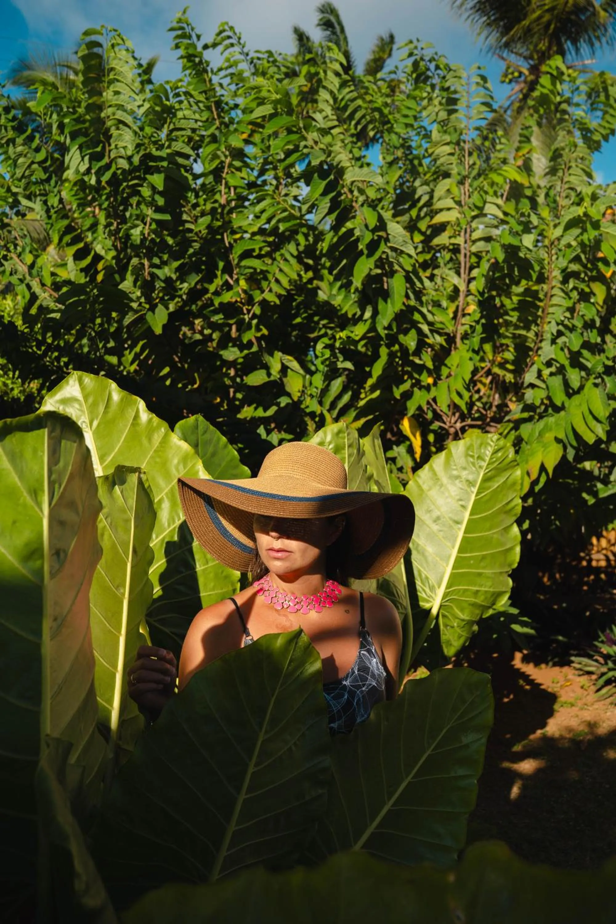 Garden in Pousada Lua Bela