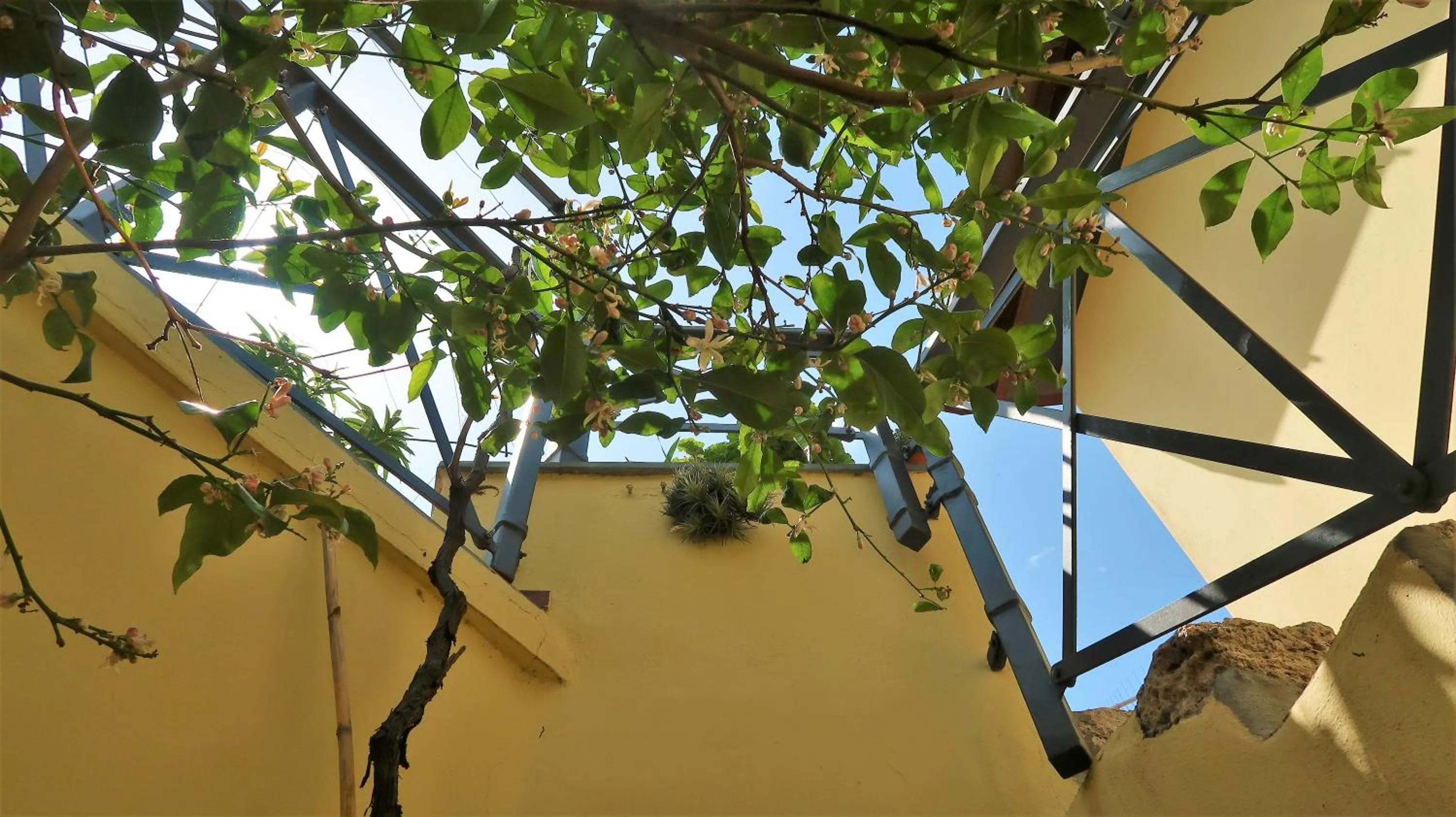 Area and facilities in B&B Dalù