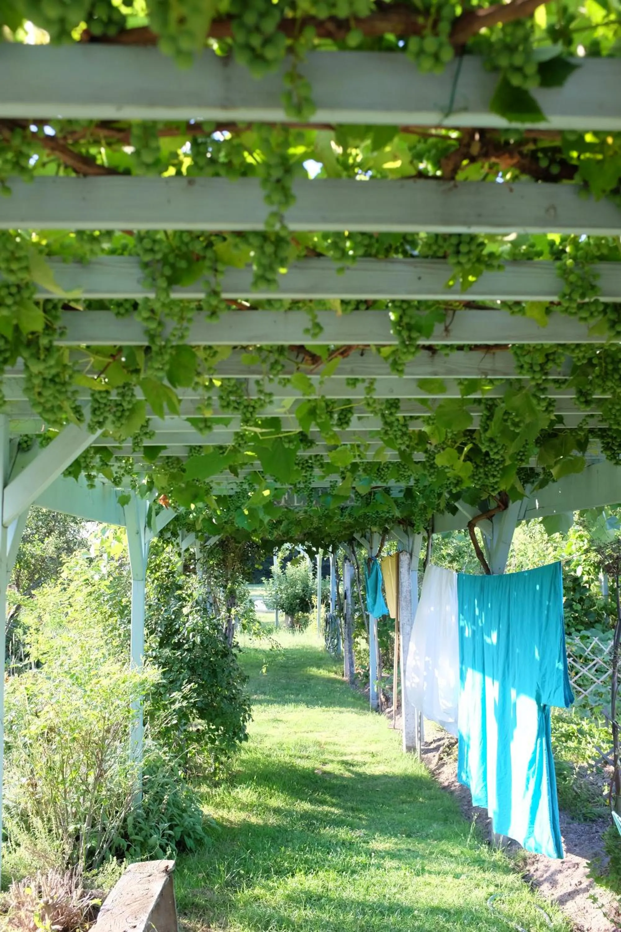 Garden in Le clos du Ru